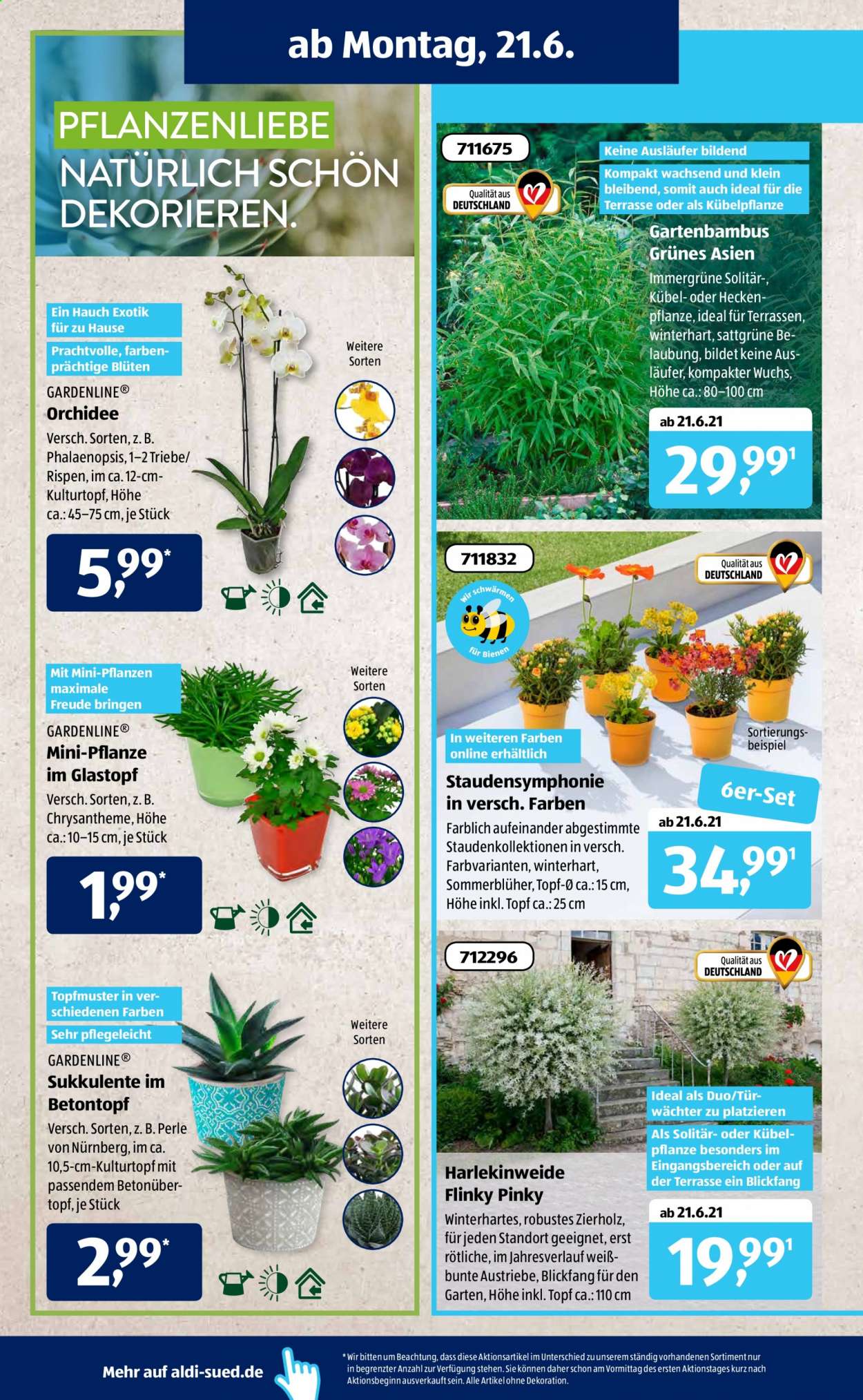 ALDI SÜD Prospekte  - 21.06.2021 - 26.06.2021. Seite 6
