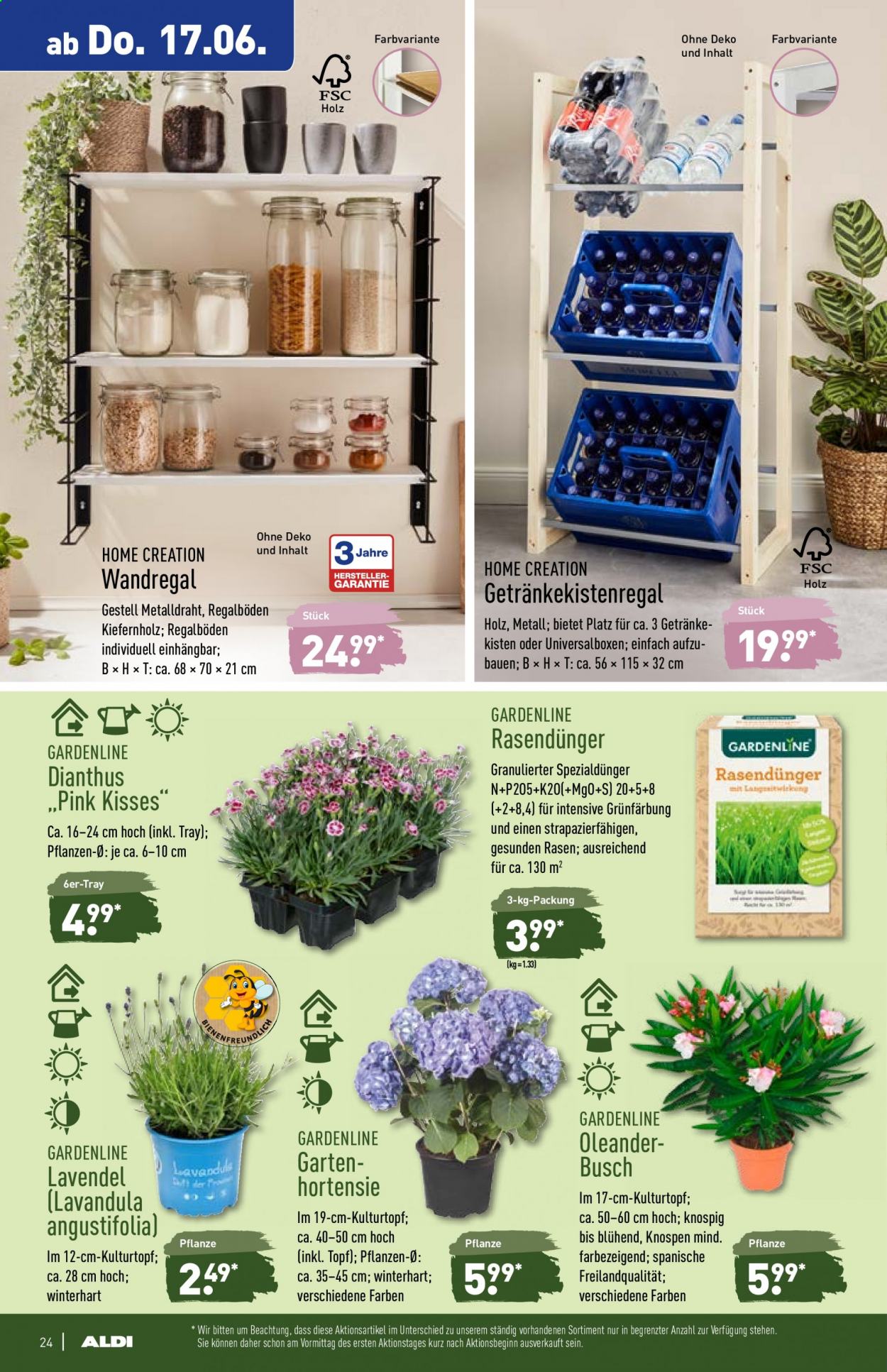 ALDI Nord Prospekte  - 14.06.2021 - 19.06.2021. Seite 24