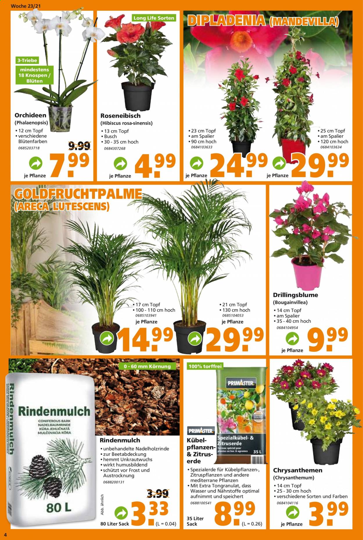 Globus Baumarkt Prospekte  - 7.06.2021 - 12.06.2021. Seite 4