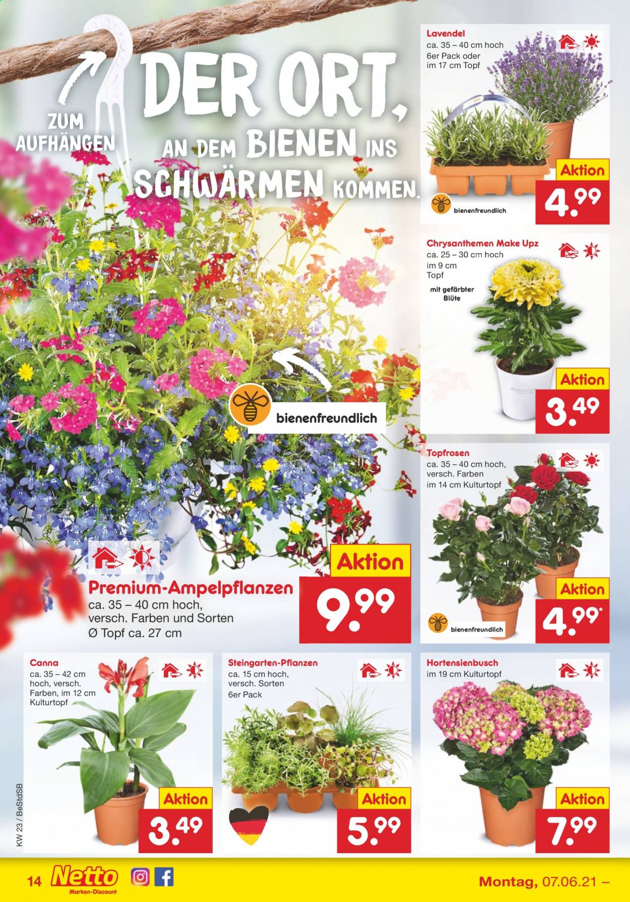 Netto Marken-Discount Prospekte  - 7.06.2021 - 12.06.2021. Seite 14