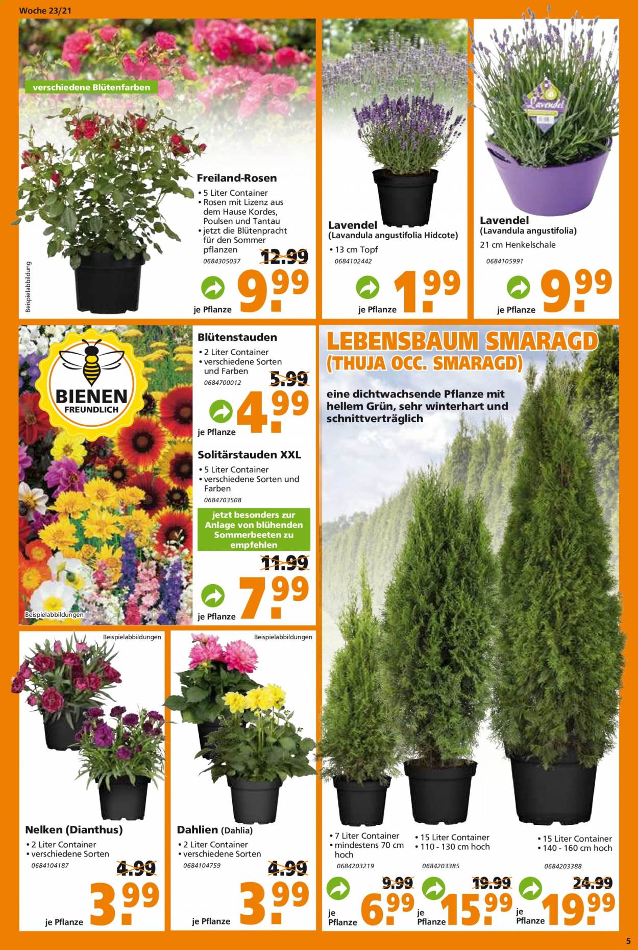 Globus Baumarkt Prospekte  - 8.06.2021 - 15.06.2021. Seite 5
