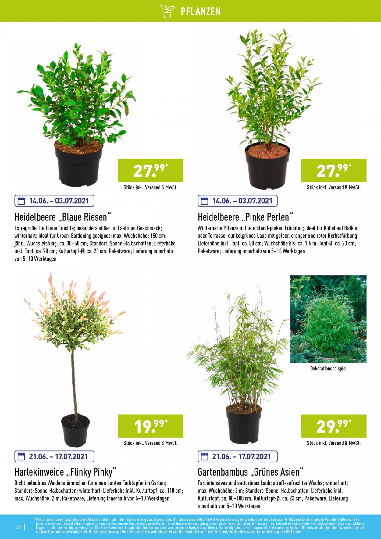 ALDI Nord Prospekte . Seite 40