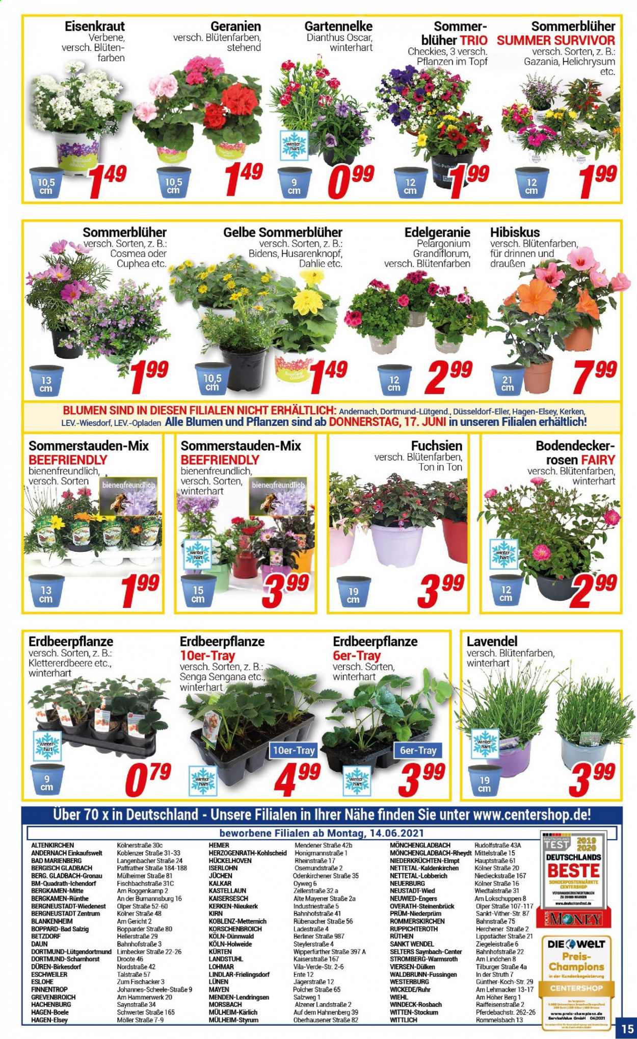 CENTERSHOP Prospekte  - 14.06.2021 - 19.06.2021. Seite 15