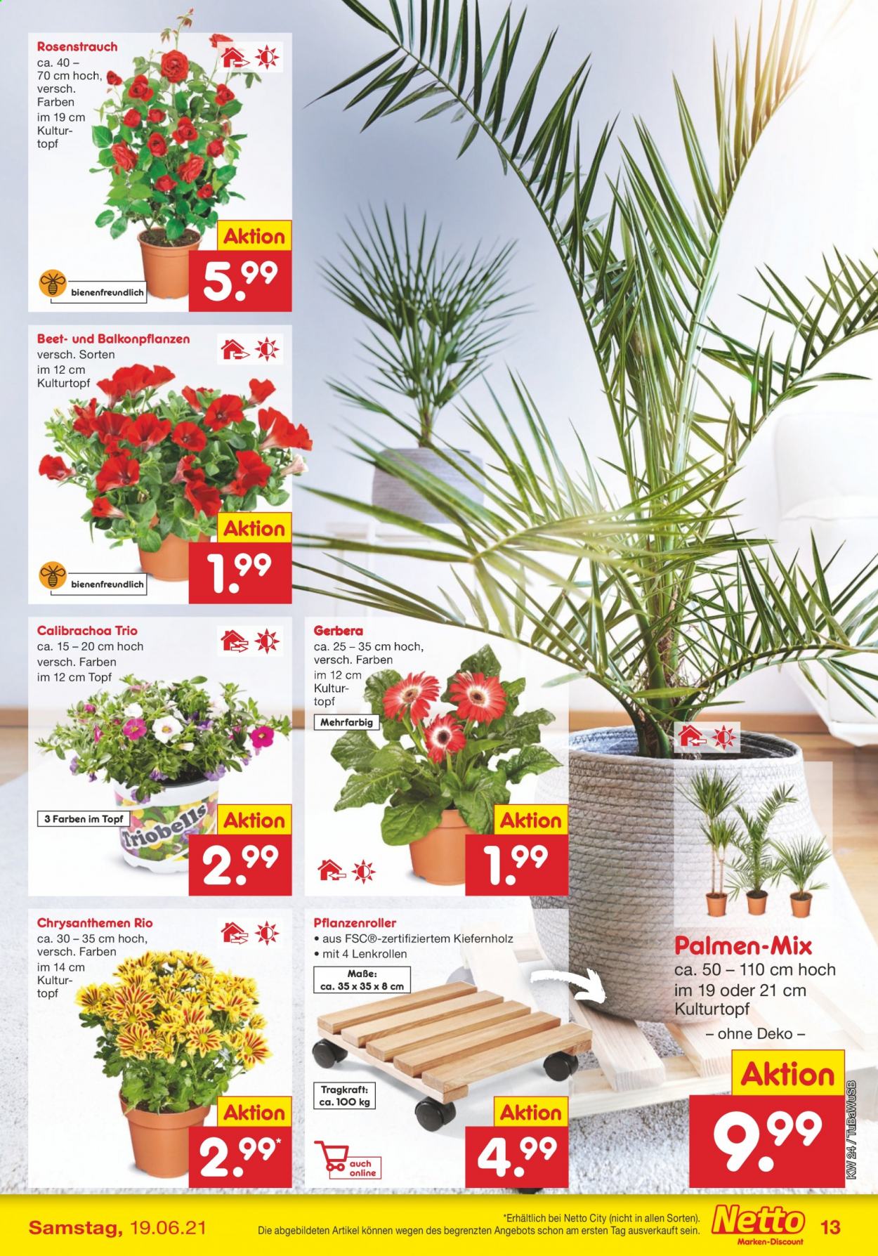 Netto Marken-Discount Prospekte  - 14.06.2021 - 19.06.2021. Seite 13