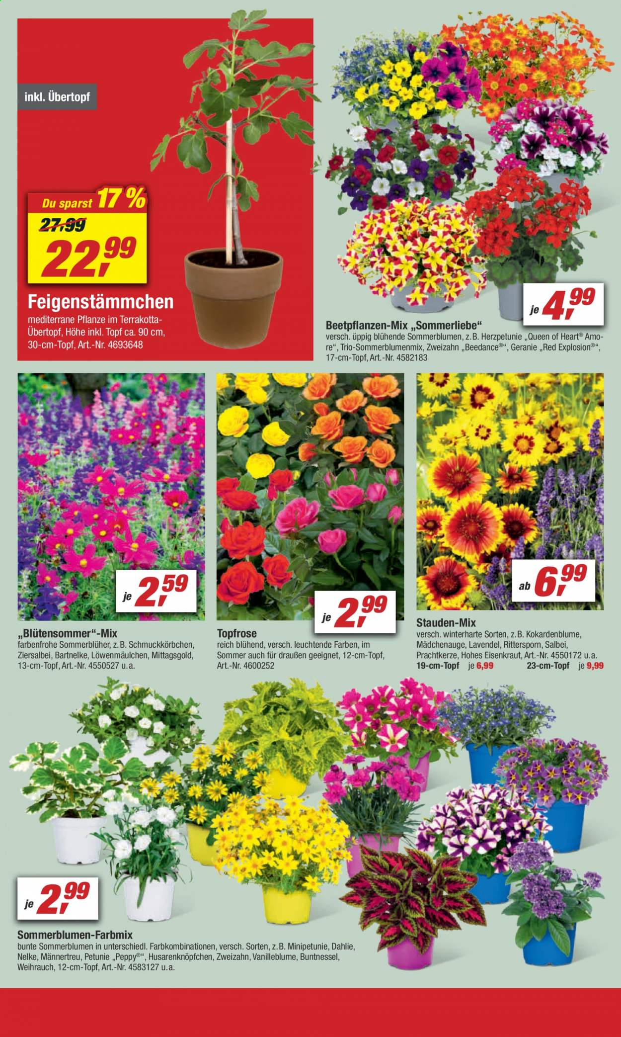 toom Baumarkt Prospekte  - 19.06.2021 - 25.06.2021. Seite 14