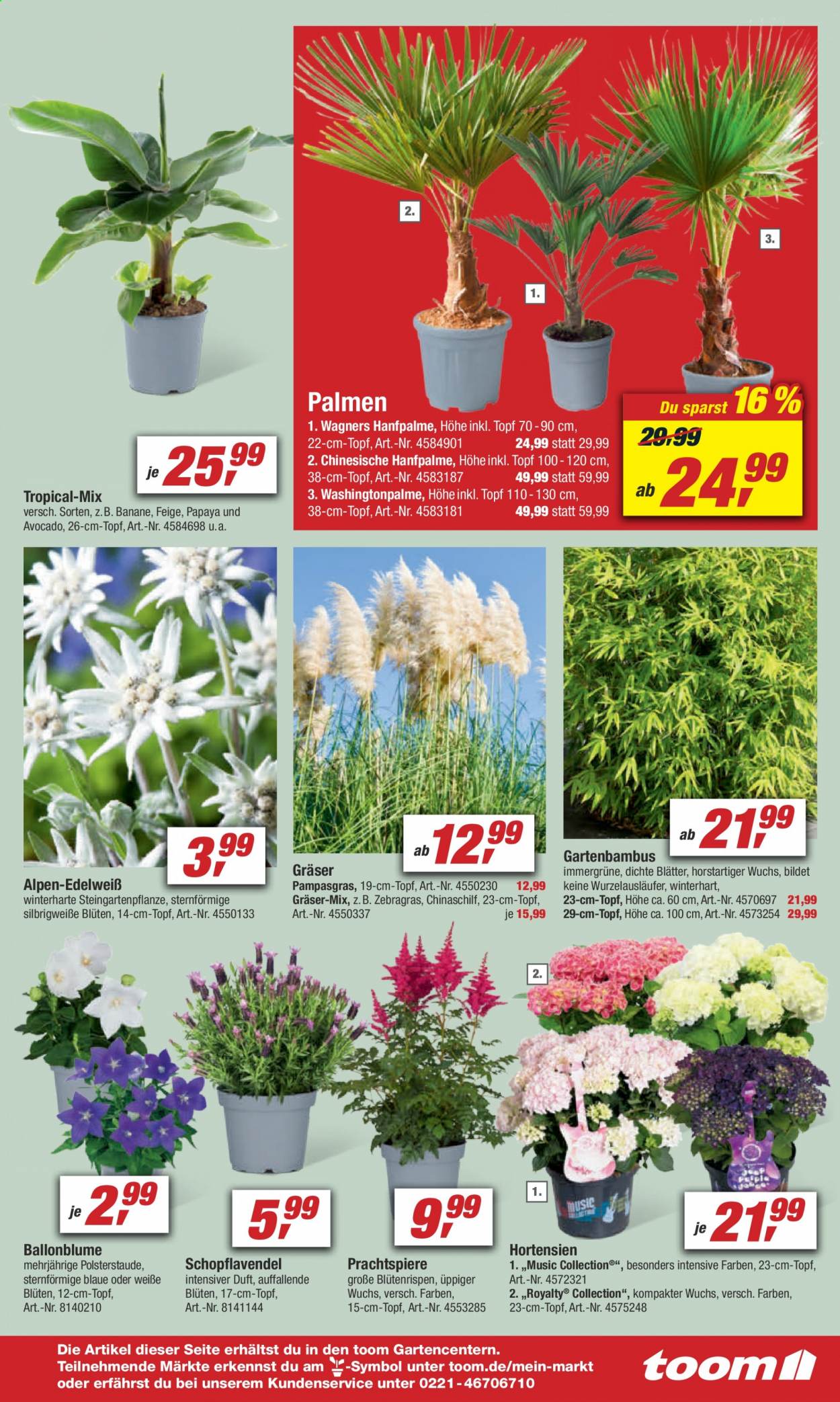 toom Baumarkt Prospekte  - 19.06.2021 - 25.06.2021. Seite 15