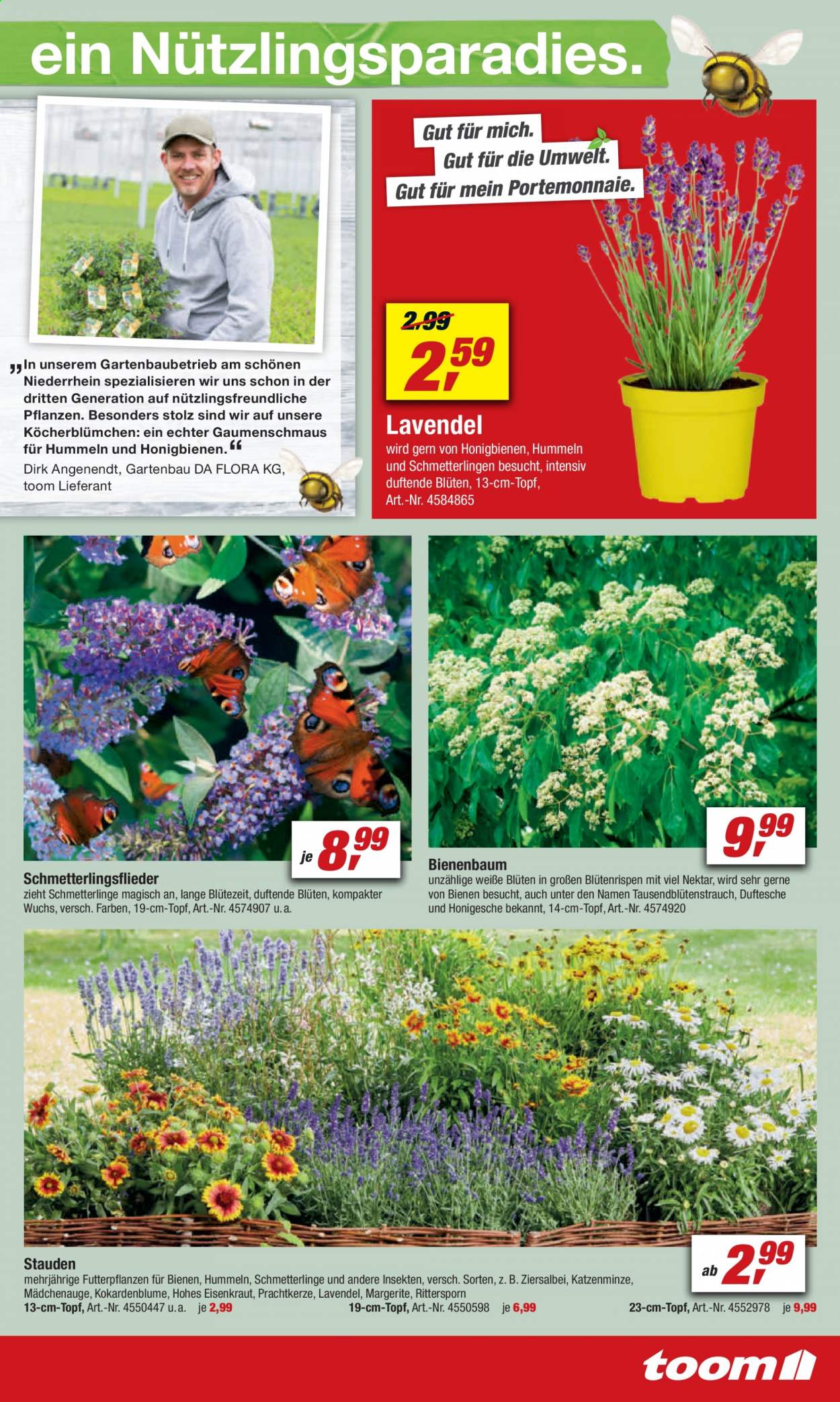 toom Baumarkt Prospekte  - 19.06.2021 - 25.06.2021. Seite 17