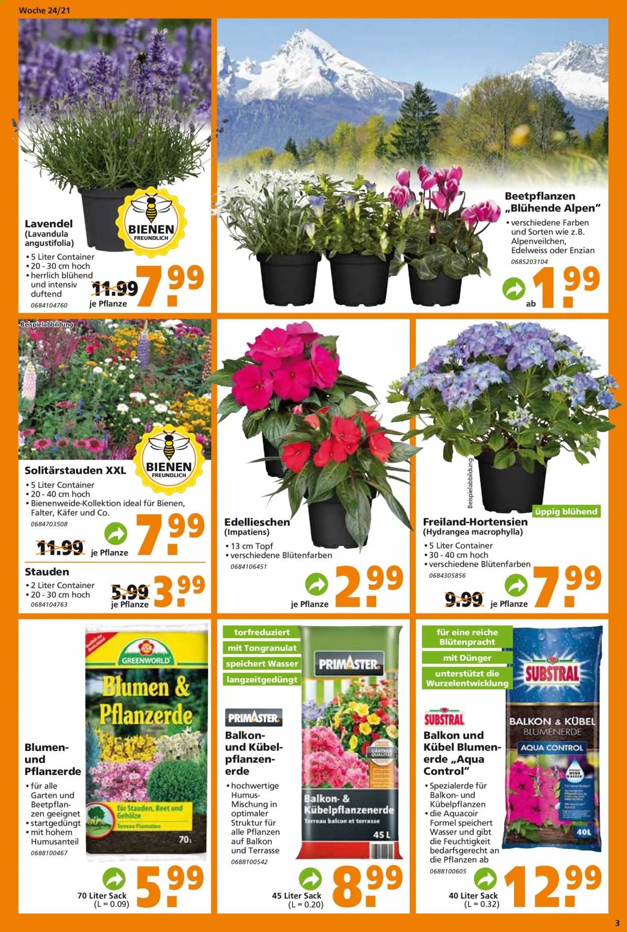 Globus Baumarkt Prospekte  - 15.06.2021 - 22.06.2021. Seite 3