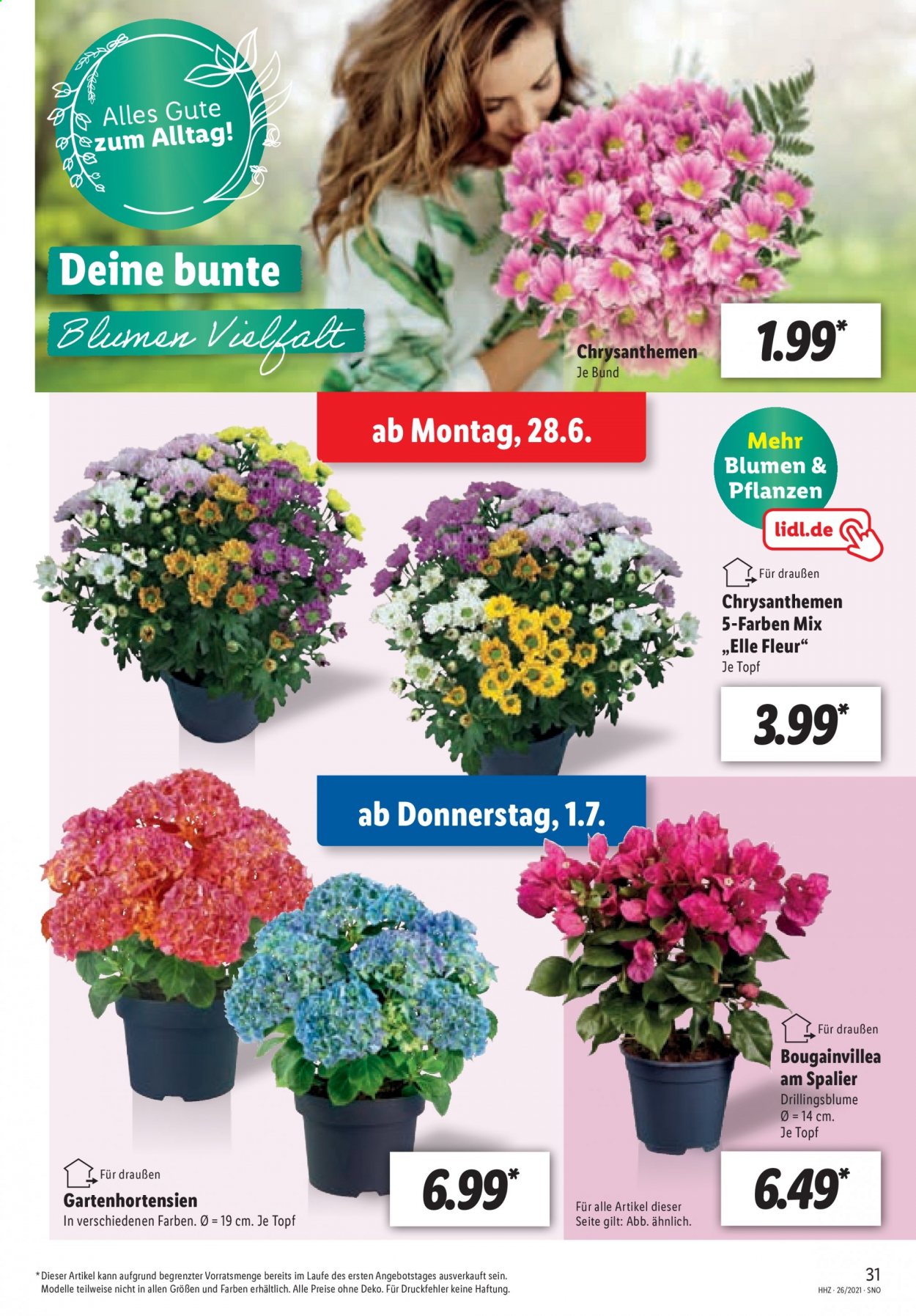 Lidl Prospekte  - 28.06.2021 - 3.07.2021. Seite 31
