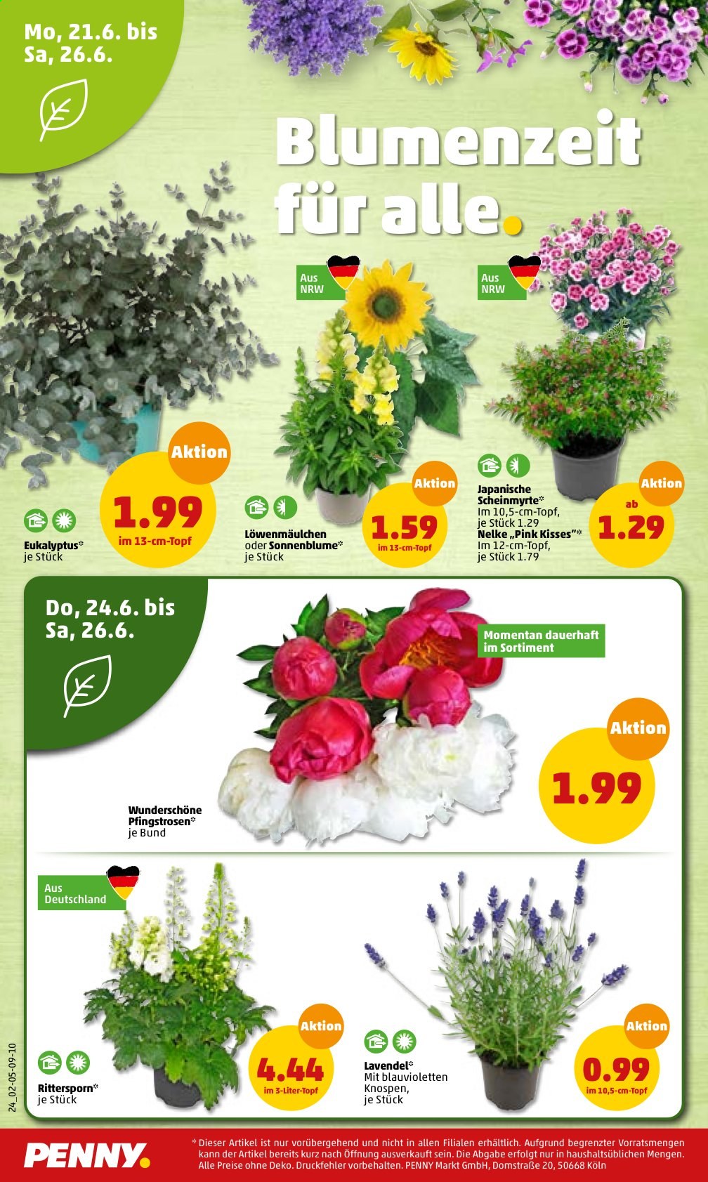 Penny Prospekte  - 21.06.2021 - 26.06.2021. Seite 22