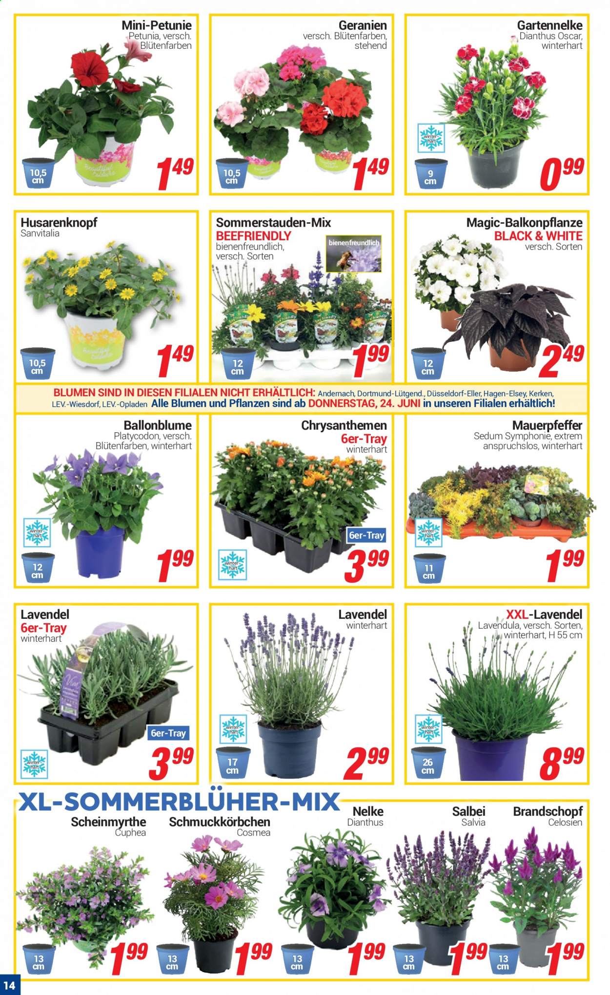 CENTERSHOP Prospekte  - 21.06.2021 - 26.06.2021. Seite 14