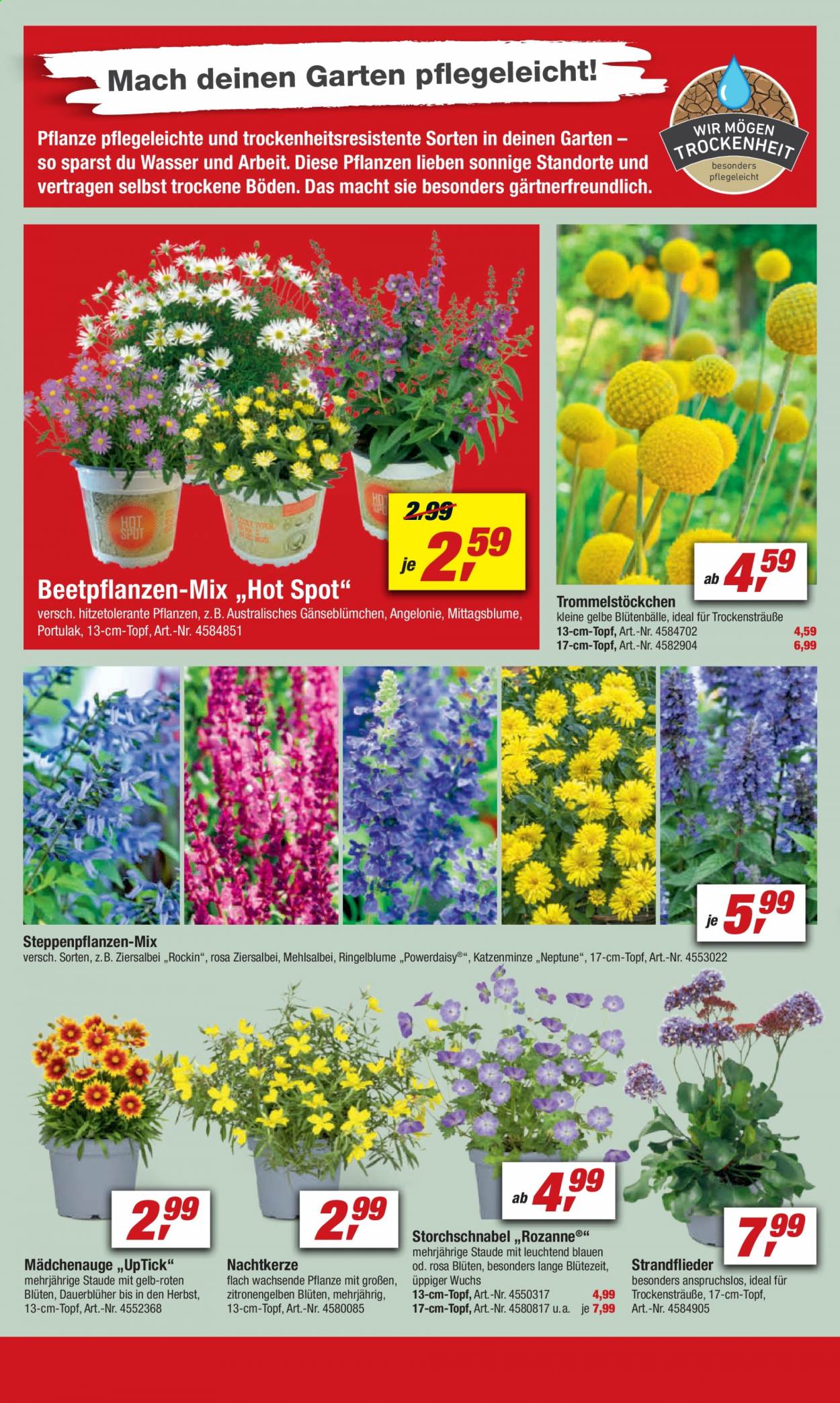 toom Baumarkt Prospekte  - 26.06.2021 - 2.07.2021. Seite 6