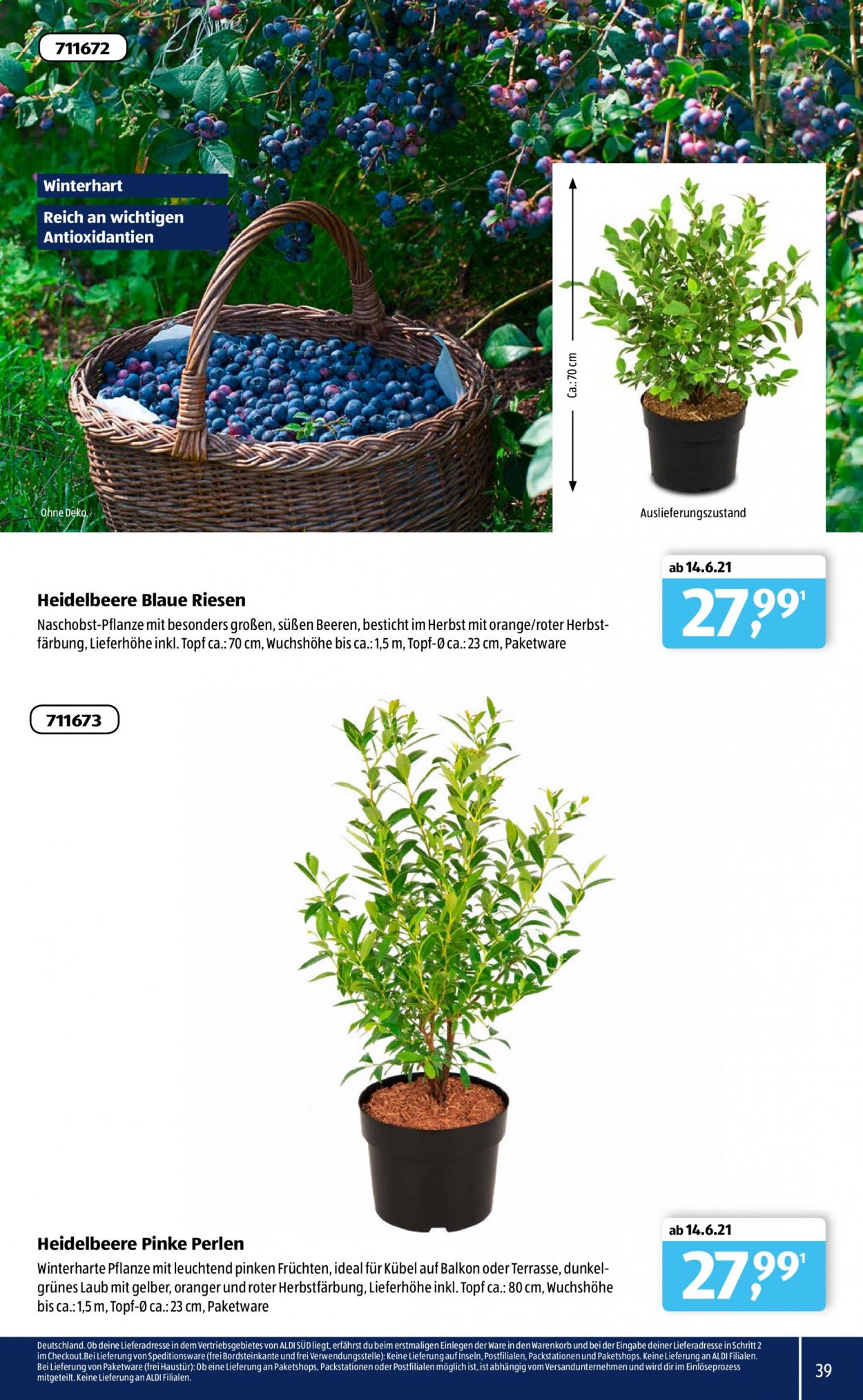 ALDI SÜD Prospekte . Seite 39