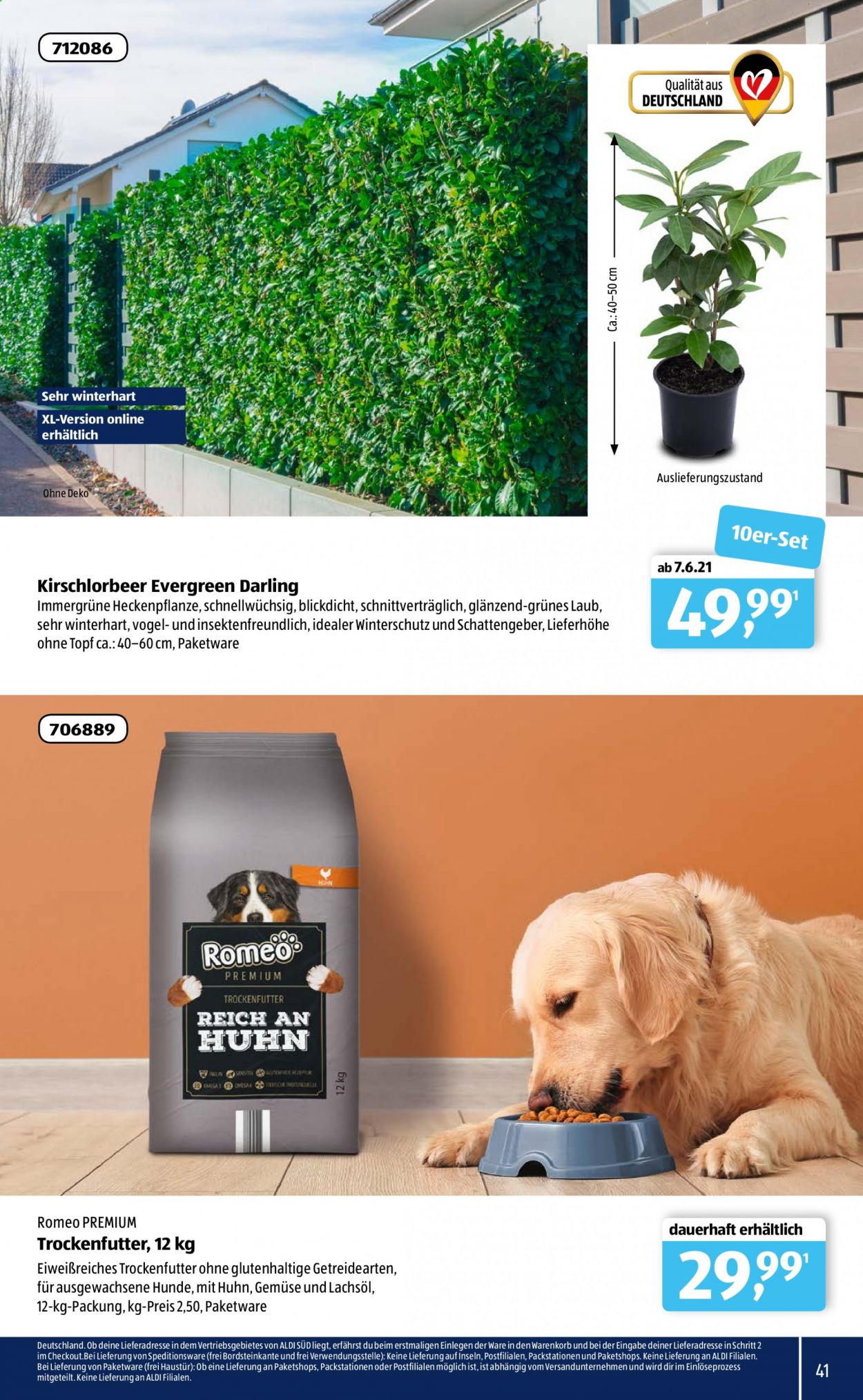 ALDI SÜD Prospekte . Seite 41