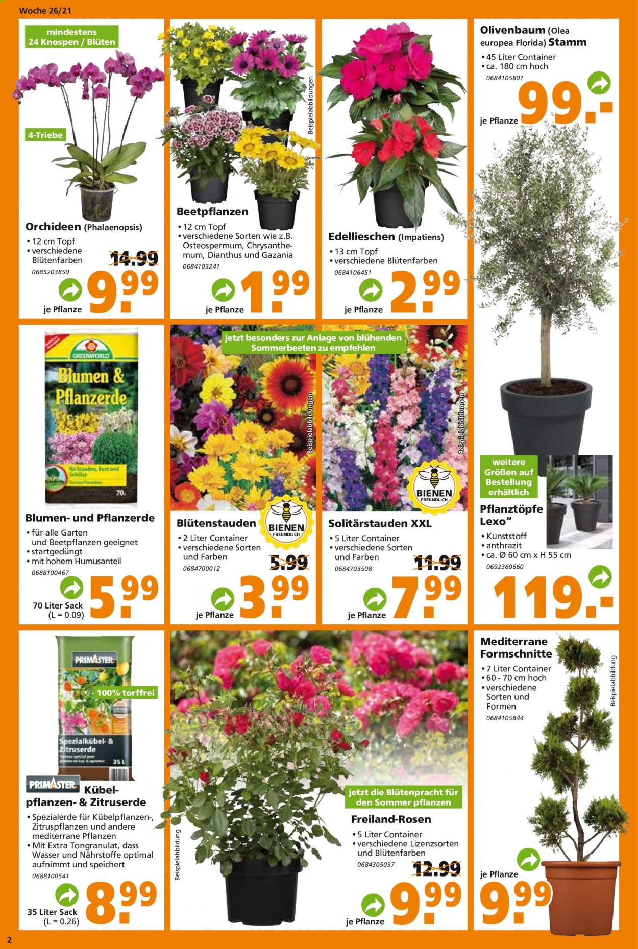 Globus Baumarkt Prospekte  - 28.06.2021 - 3.07.2021. Seite 2