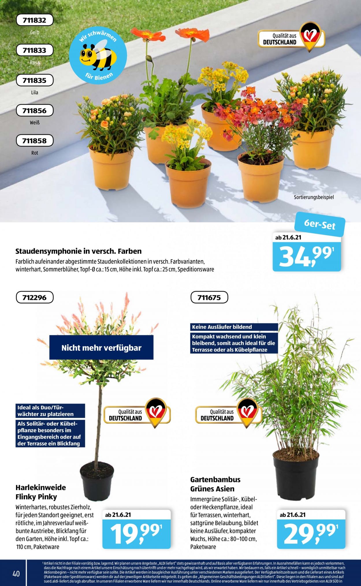 ALDI SÜD Prospekte . Seite 41