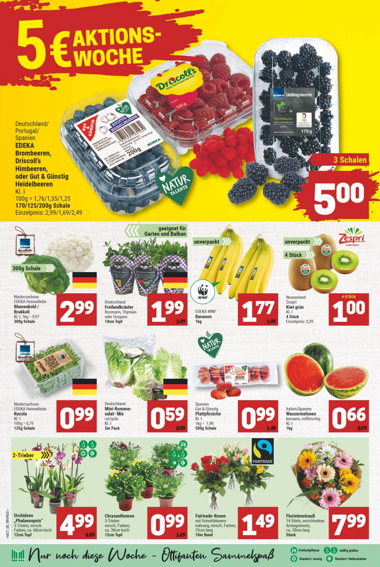 Marktkauf Prospekte  - 5.07.2021 - 10.07.2021. Seite 8