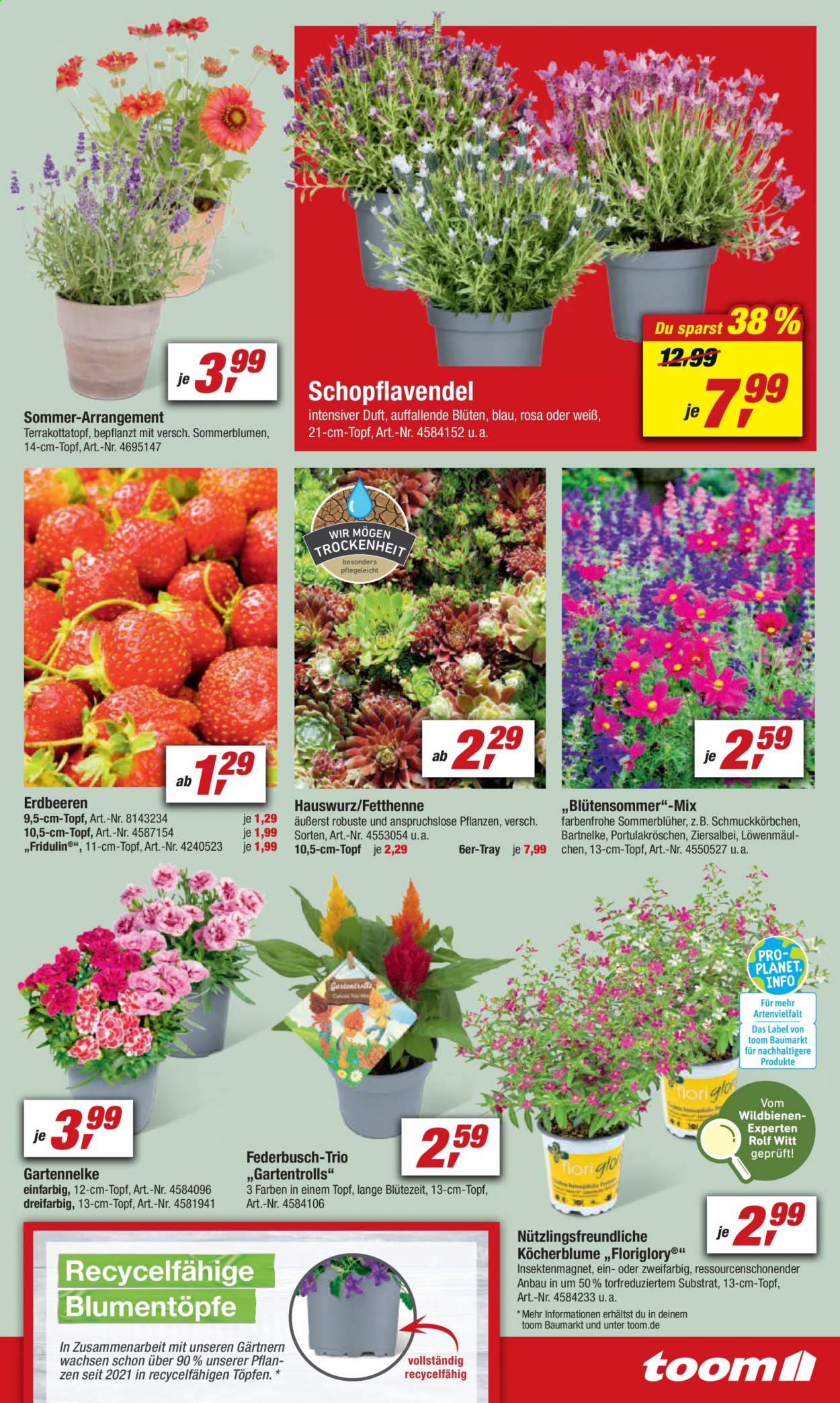toom Baumarkt Prospekte  - 10.07.2021 - 16.07.2021. Seite 9