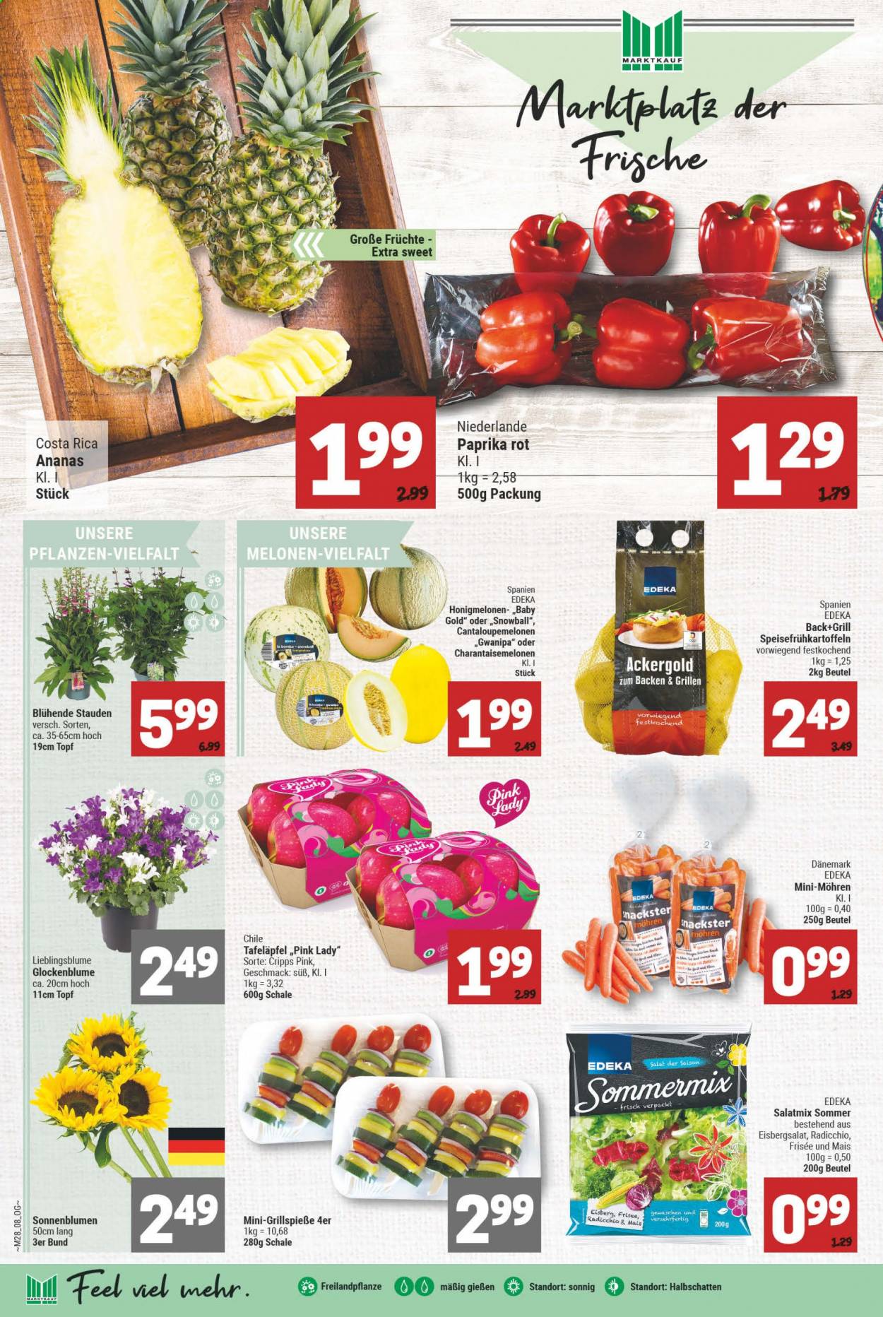 Marktkauf Prospekte  - 12.07.2021 - 17.07.2021. Seite 8
