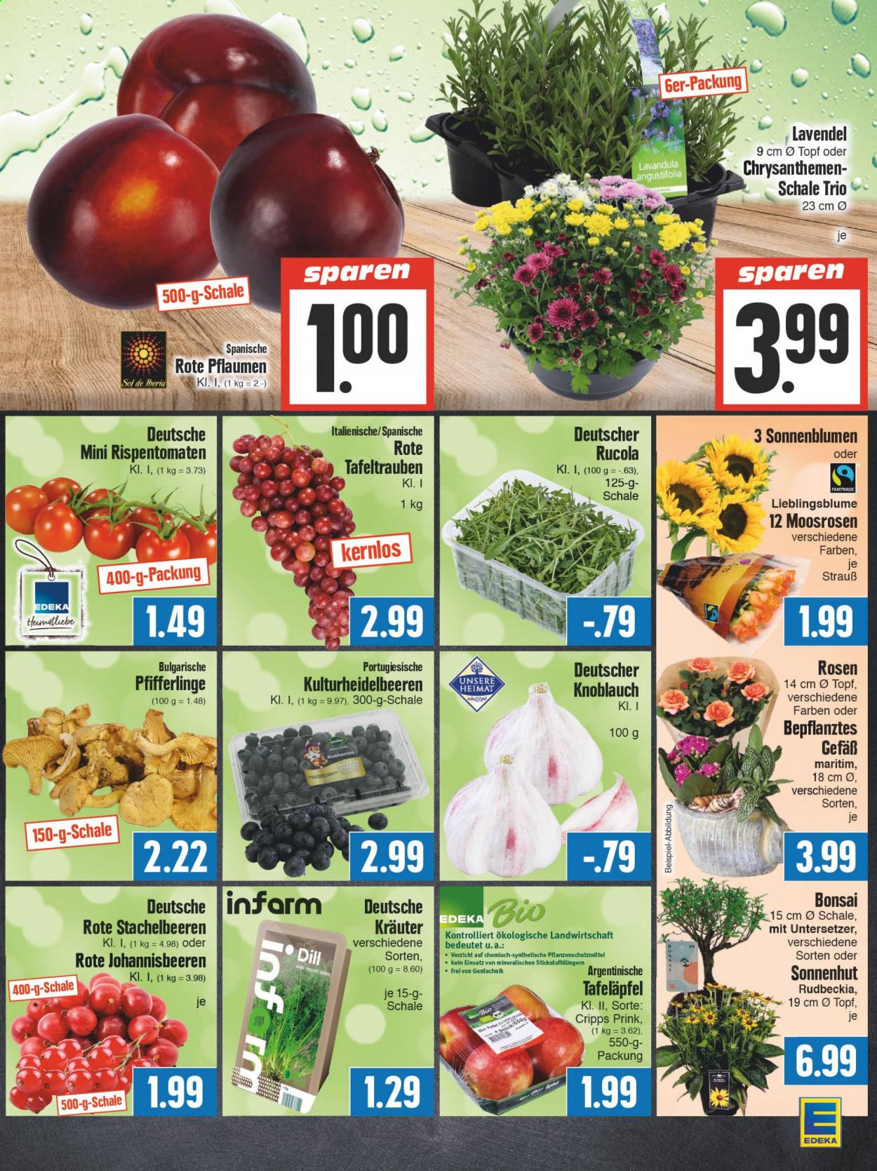Edeka Prospekte  - 12.07.2021 - 17.07.2021. Seite 5