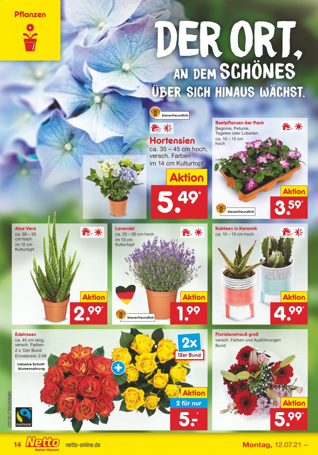 Netto Marken-Discount Prospekte  - 12.07.2021 - 17.07.2021. Seite 14