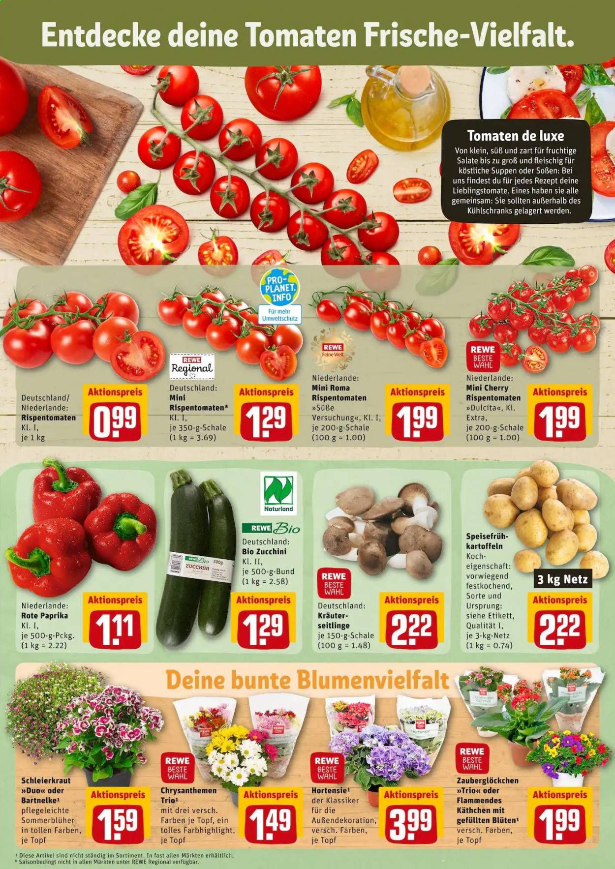 thumbnail - Prospekte REWE - 19.07.2021 - 24.07.2021 - Produkte in Aktion - Paprika, Tomaten, Rispentomaten, Kartoffeln, Chrysanthemen, Hortensie. Seite 5.