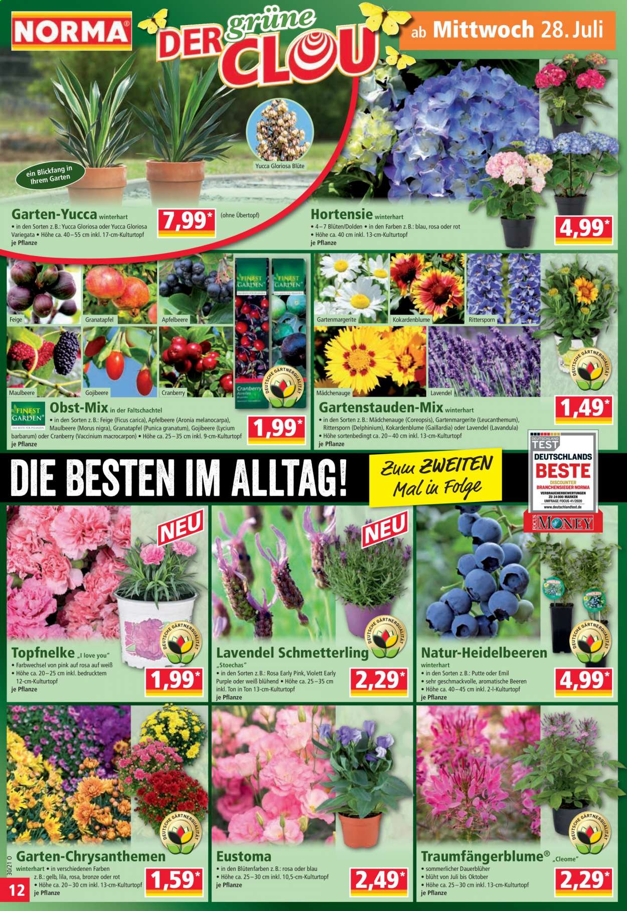 thumbnail - Prospekte Norma - 26.07.2021 - 31.07.2021 - Produkte in Aktion - Granatäpfel, Heidelbeeren, Punica, Schmetterling, Blüte, Chrysanthemen, Lavendel, Hortensie. Seite 12.