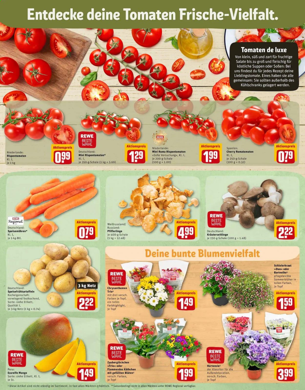 REWE Prospekte  - 19.07.2021 - 24.07.2021. Seite 5