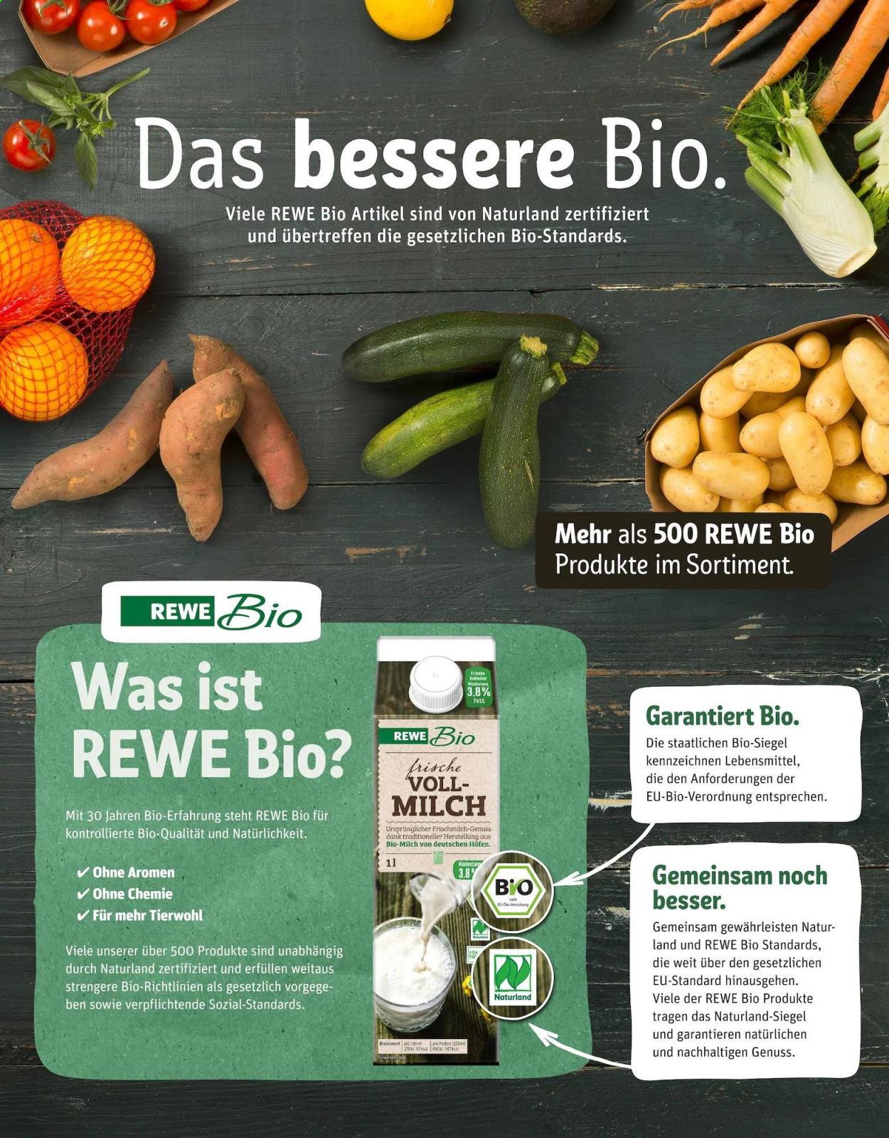 REWE Prospekte  - 19.07.2021 - 24.07.2021. Seite 13