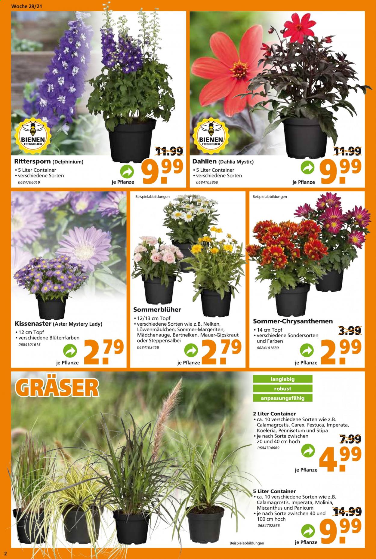 Globus Baumarkt Prospekte  - 20.07.2021 - 27.07.2021. Seite 2