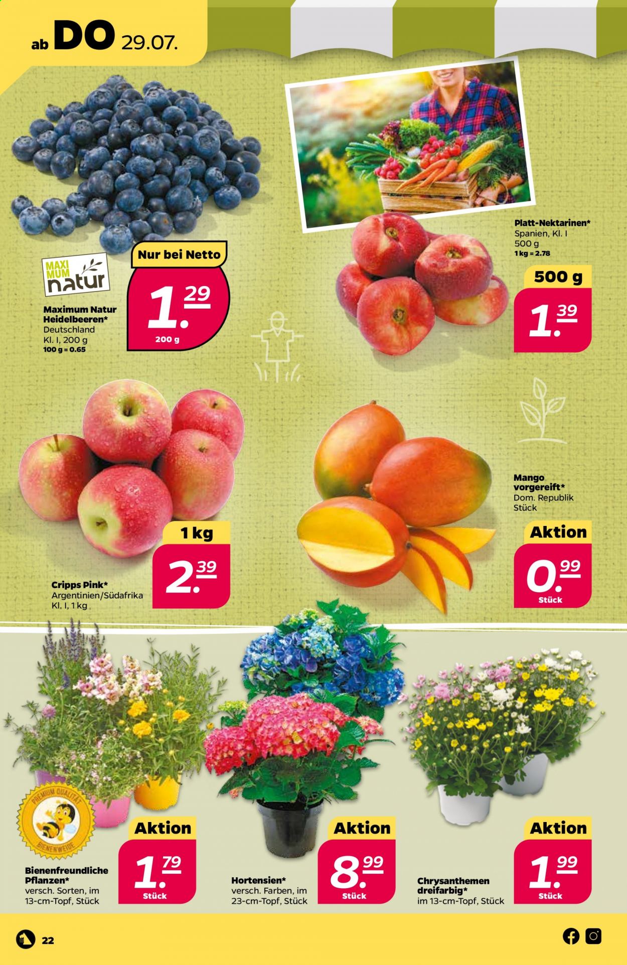 Netto Prospekte  - 26.07.2021 - 31.07.2021. Seite 22
