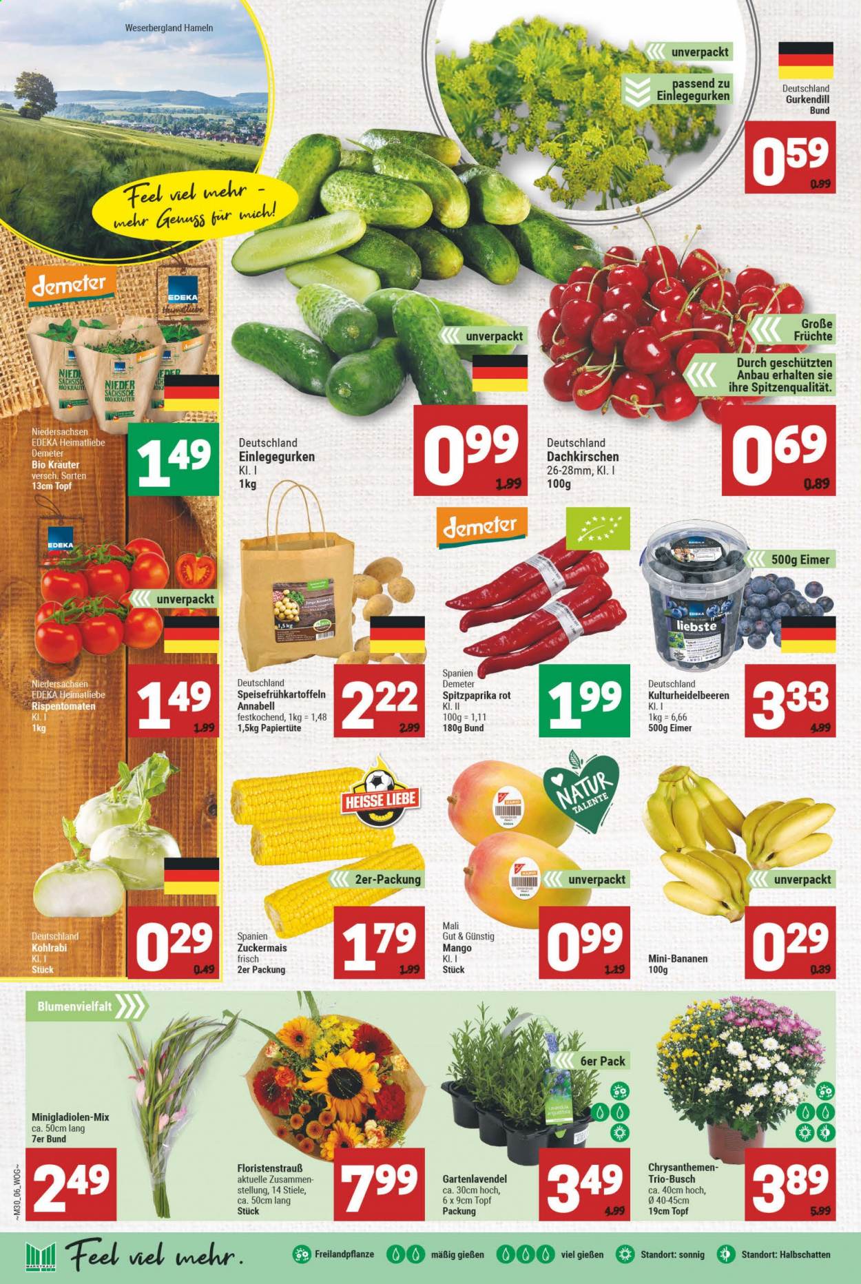 Marktkauf Prospekte  - 26.07.2021 - 31.07.2021. Seite 6