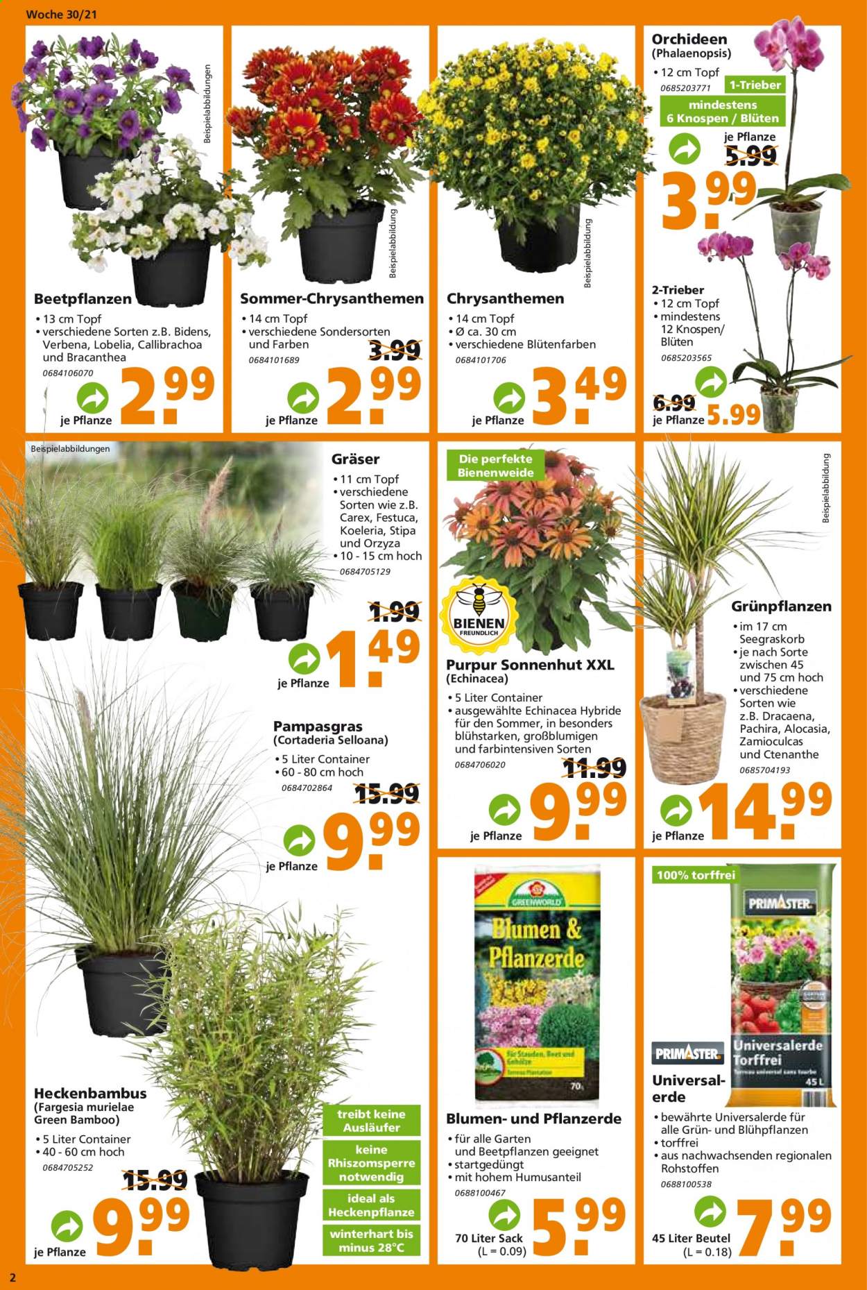 Globus Baumarkt Prospekte  - 26.07.2021 - 31.07.2021. Seite 2