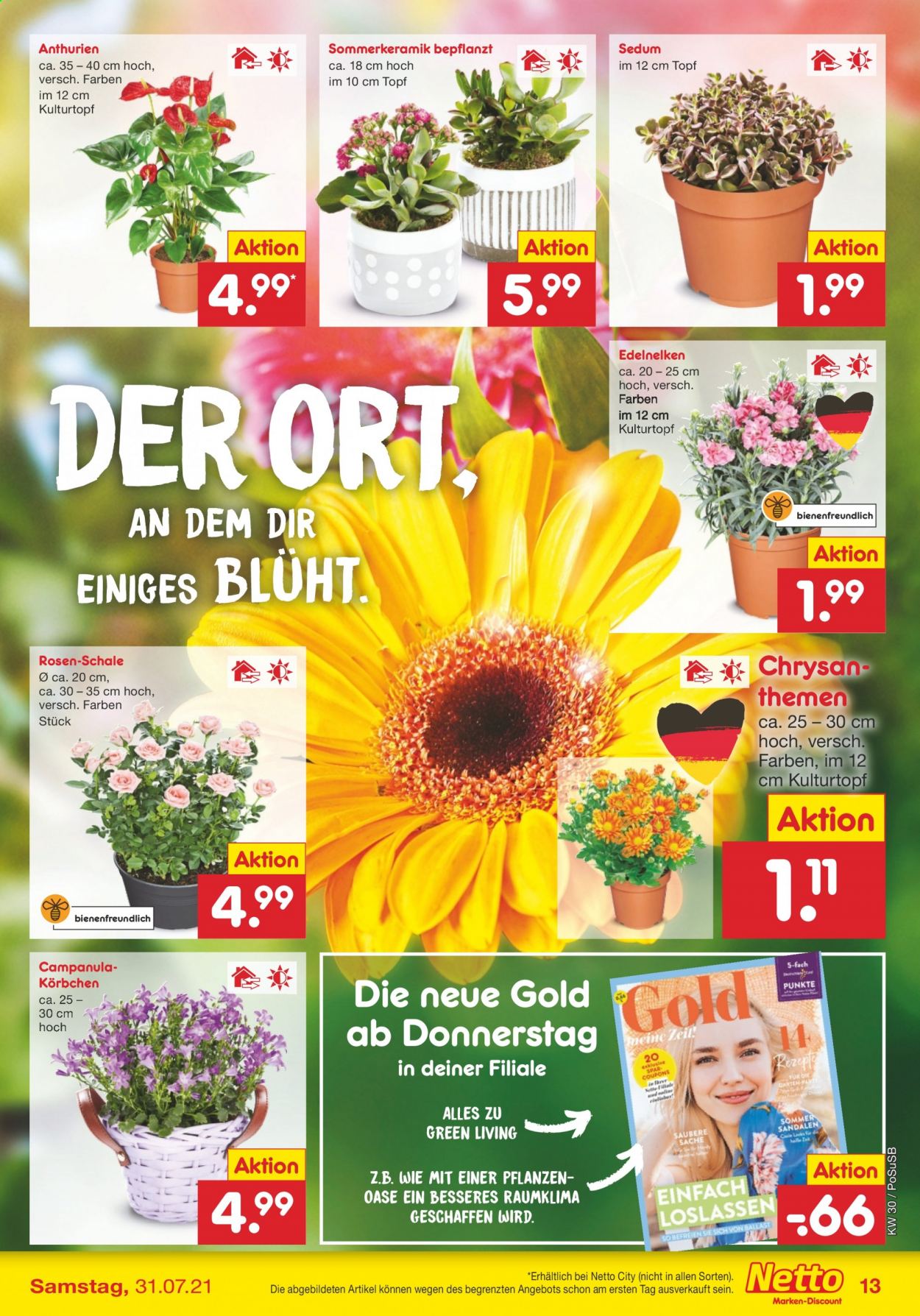 Netto Marken-Discount Prospekte  - 26.07.2021 - 31.07.2021. Seite 13