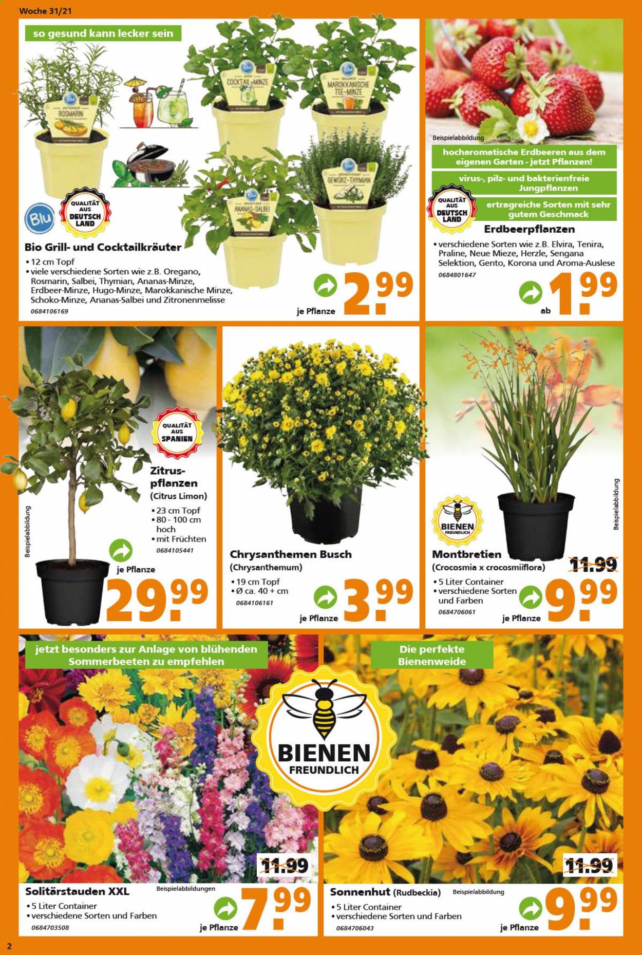 Globus Baumarkt Prospekte  - 2.08.2021 - 7.08.2021. Seite 2