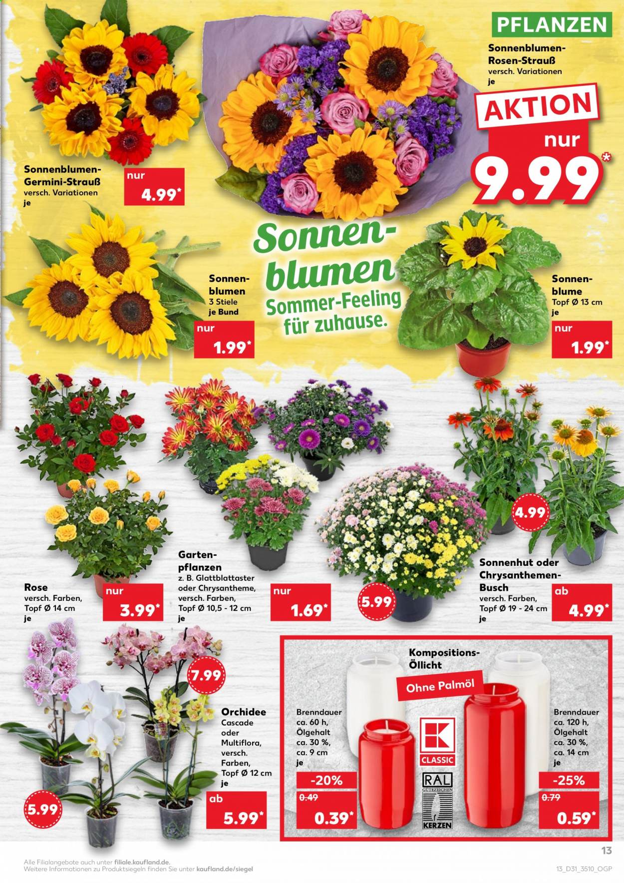 Kaufland Prospekte  - 5.08.2021 - 11.08.2021. Seite 13