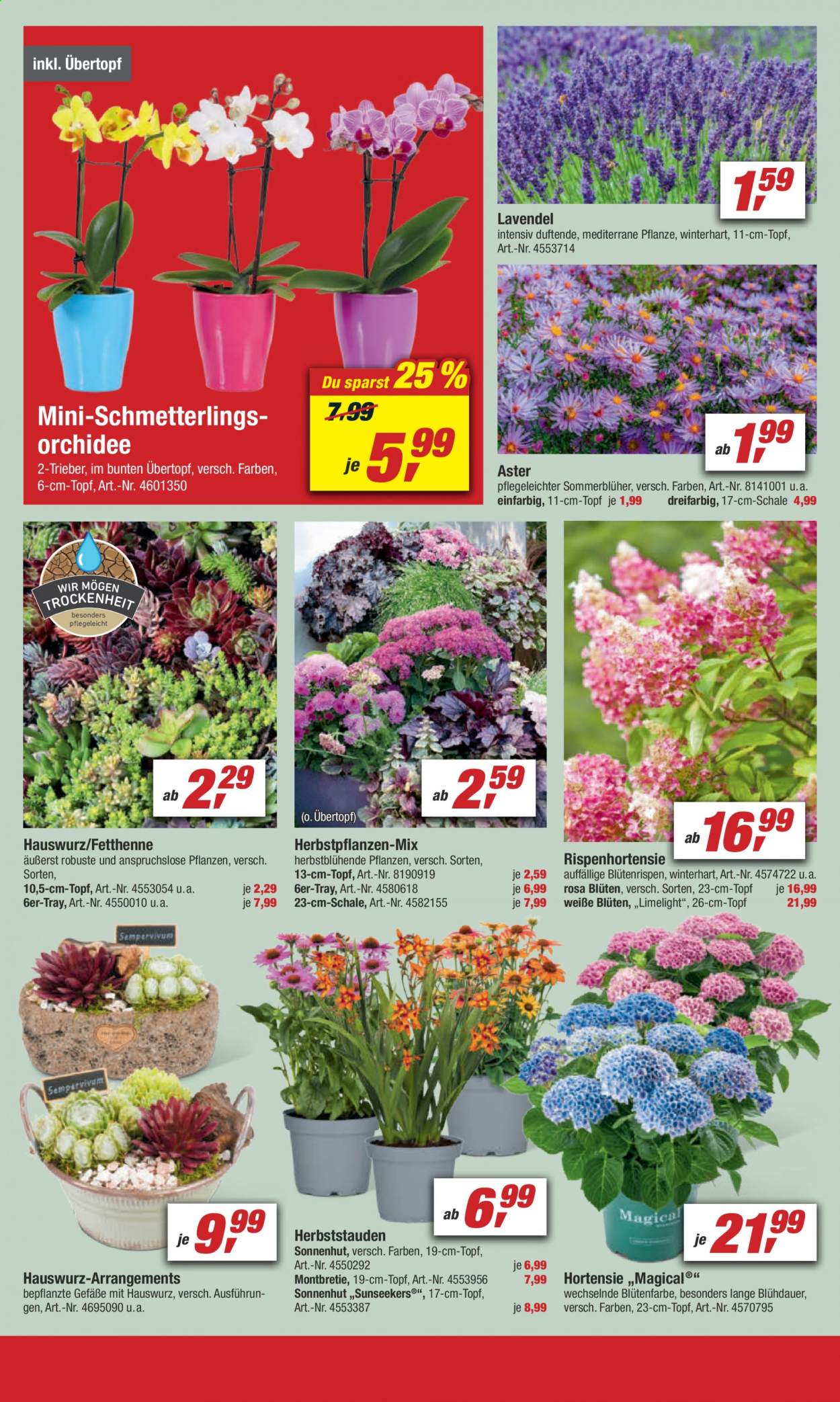 toom Baumarkt Prospekte  - 7.08.2021 - 13.08.2021. Seite 12