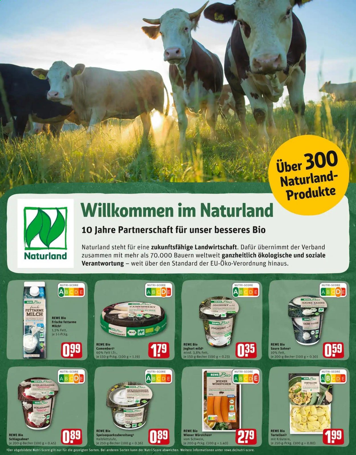 REWE Prospekte  - 9.08.2021 - 14.08.2021. Seite 22