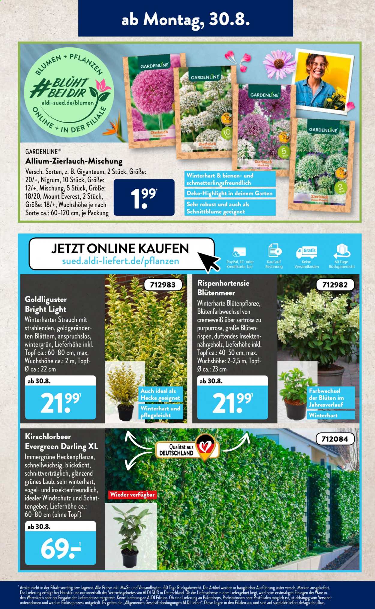 ALDI SÜD Prospekte  - 30.08.2021 - 4.09.2021. Seite 7