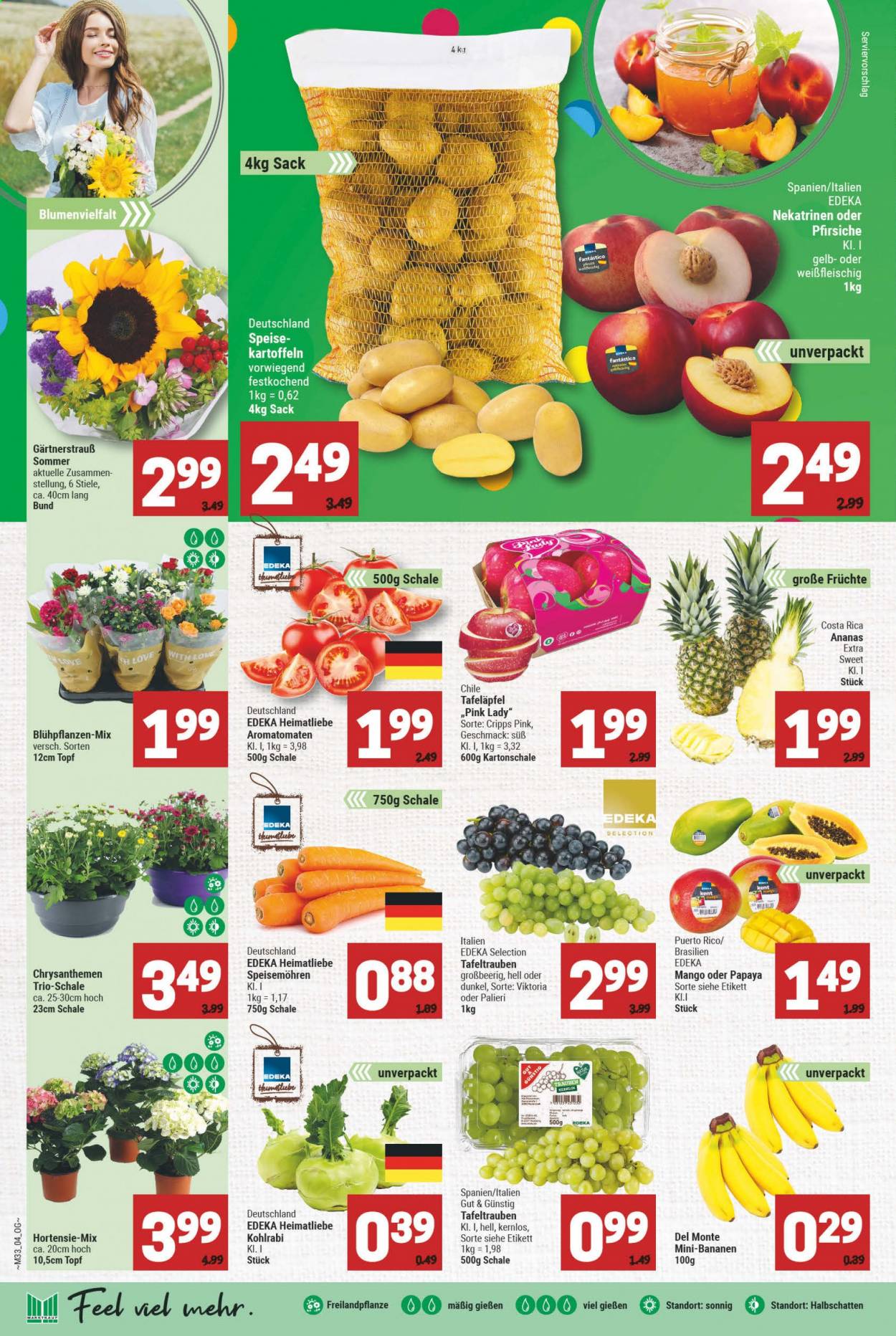 Marktkauf Prospekte  - 16.08.2021 - 21.08.2021. Seite 4