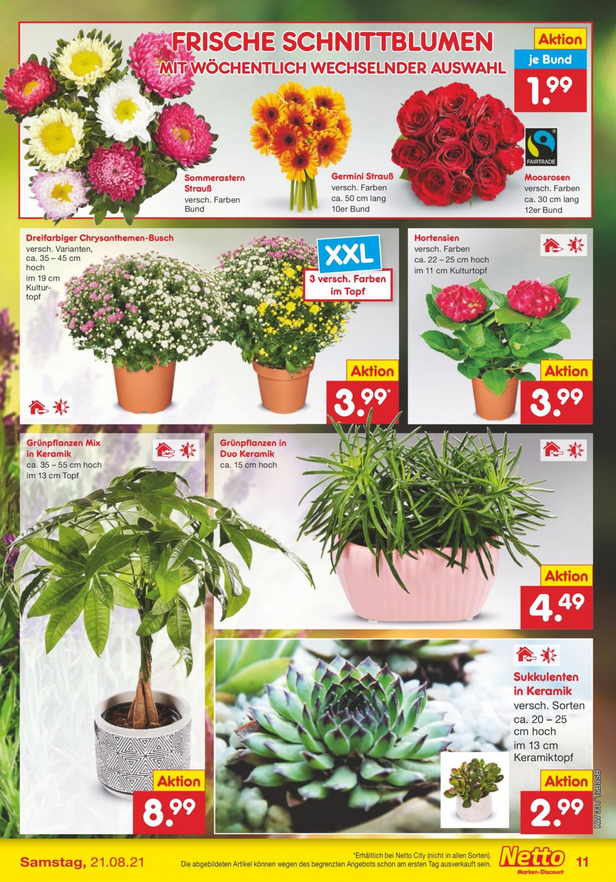 Netto Marken-Discount Prospekte  - 16.08.2021 - 21.08.2021. Seite 11