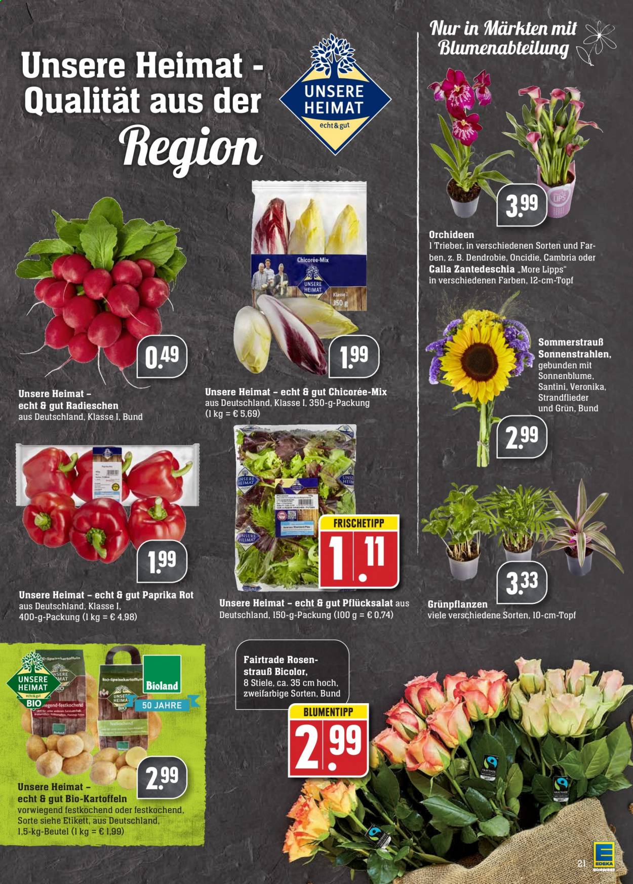 Edeka Prospekte  - 16.08.2021 - 21.08.2021. Seite 21