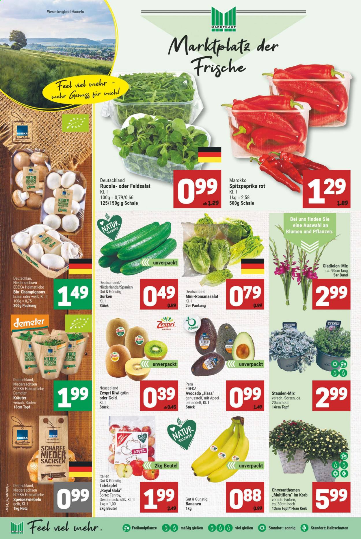 Marktkauf Prospekte  - 23.08.2021 - 28.08.2021. Seite 6