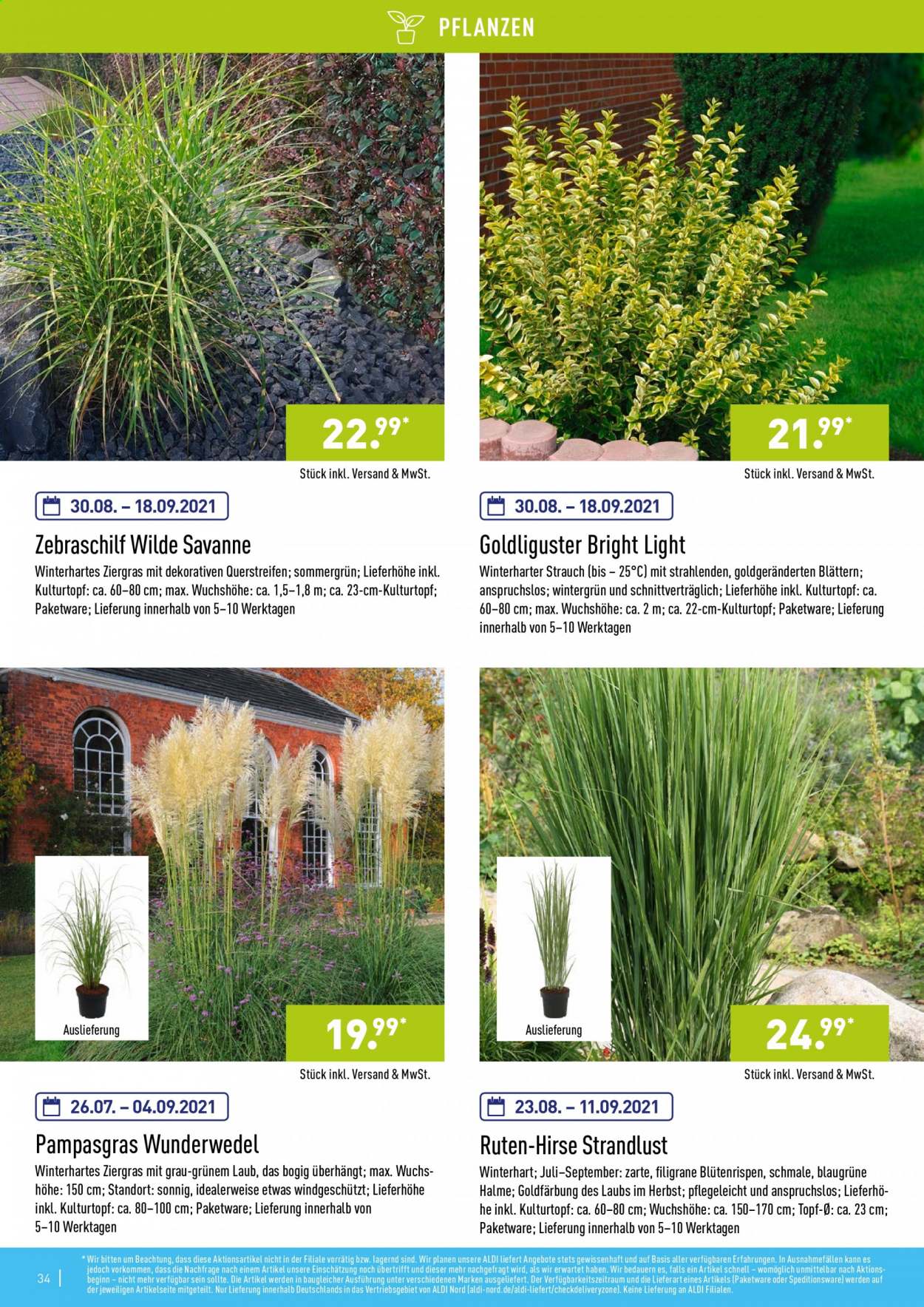 ALDI Nord Prospekte . Seite 34