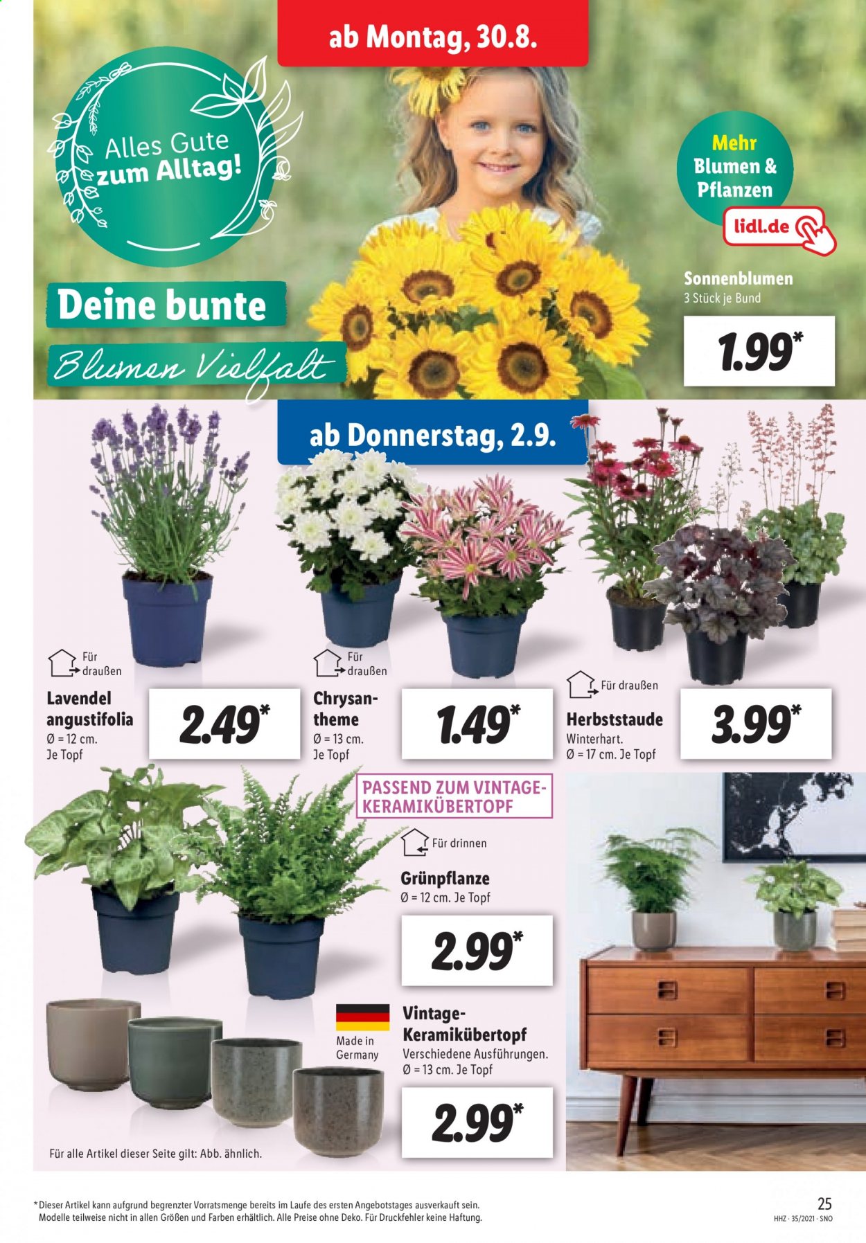 Lidl Prospekte  - 29.08.2021 - 29.08.2021. Seite 25