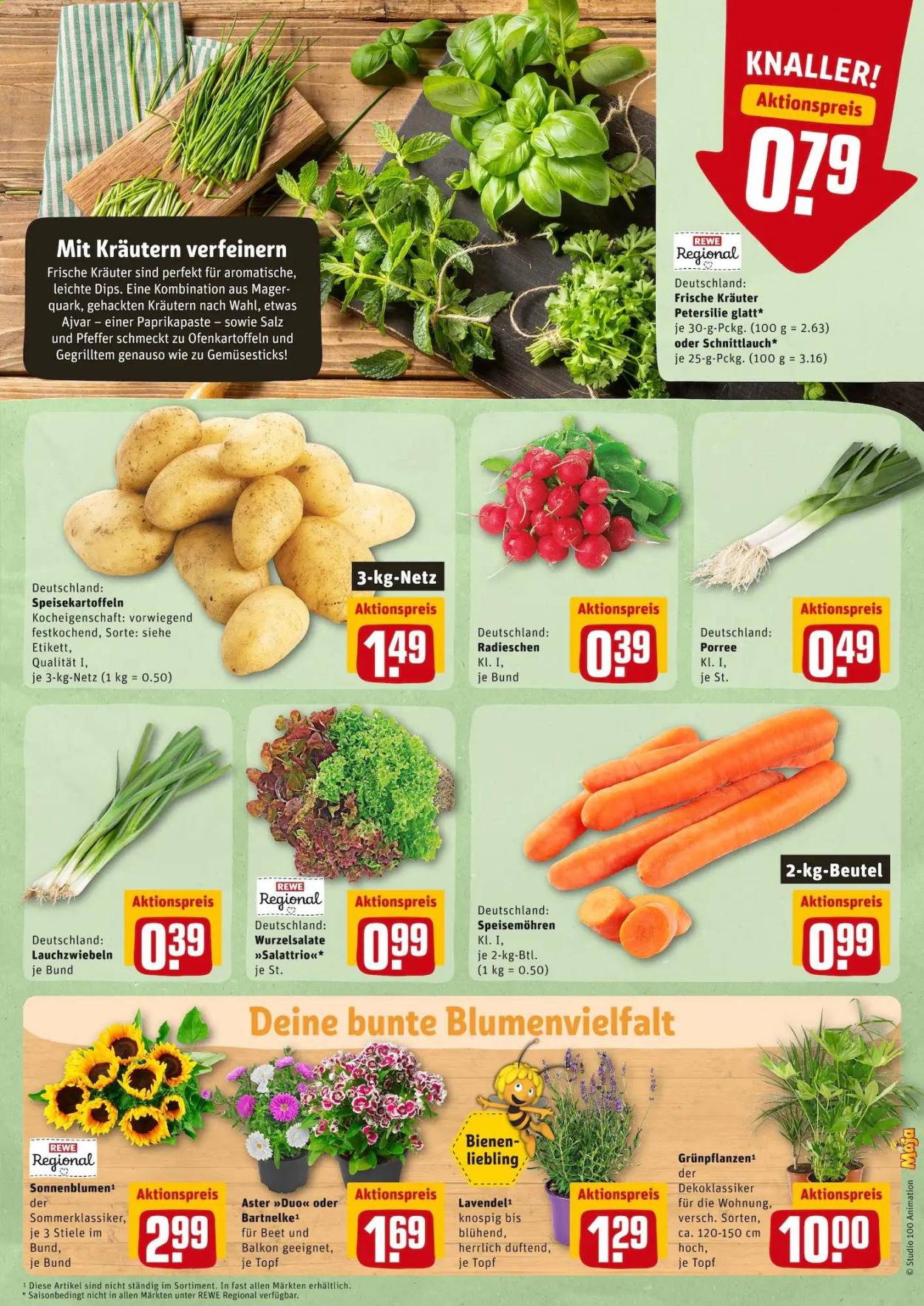 REWE Prospekte  - 23.08.2021 - 28.08.2021. Seite 5