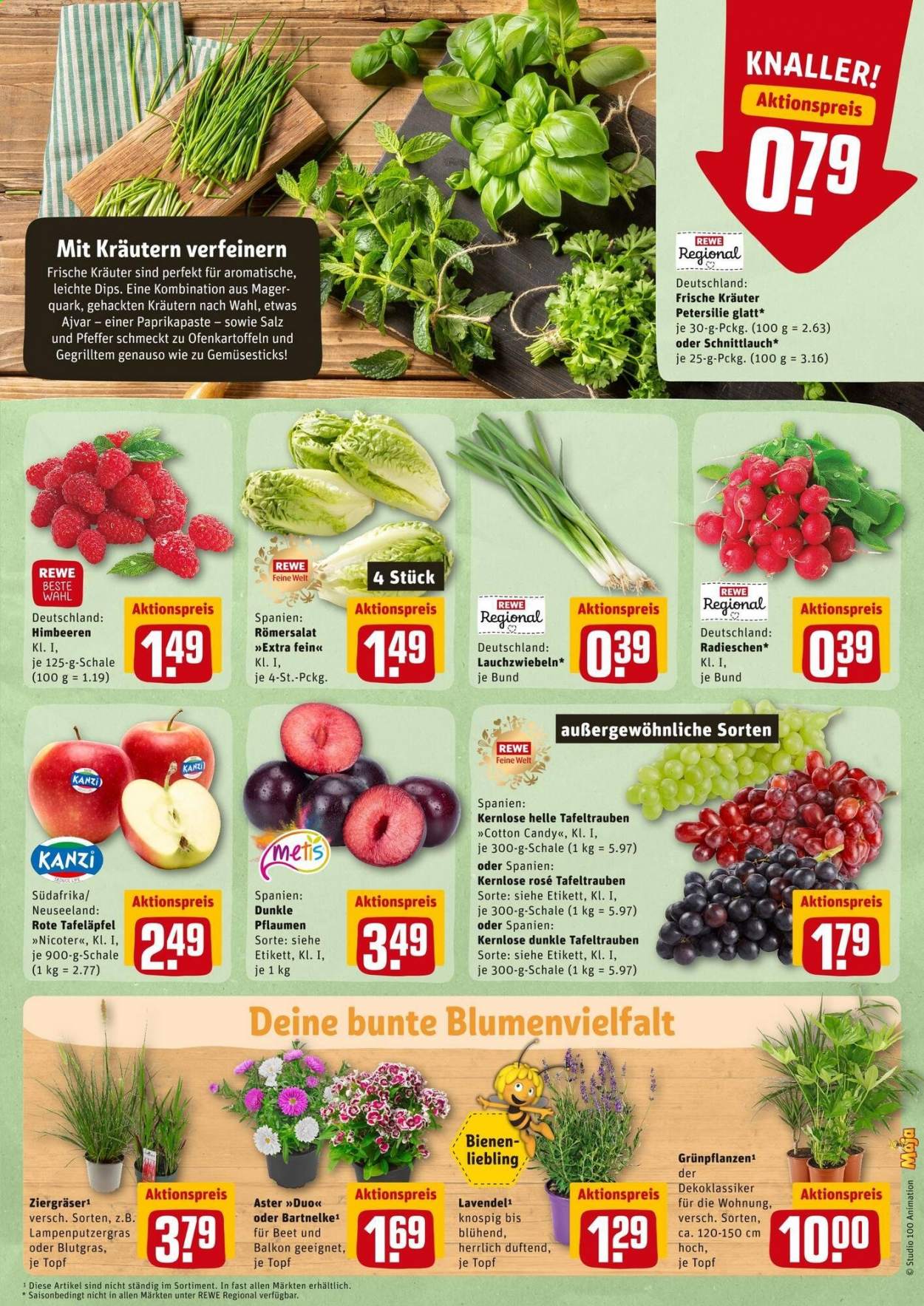 REWE Prospekte  - 23.08.2021 - 28.08.2021. Seite 2