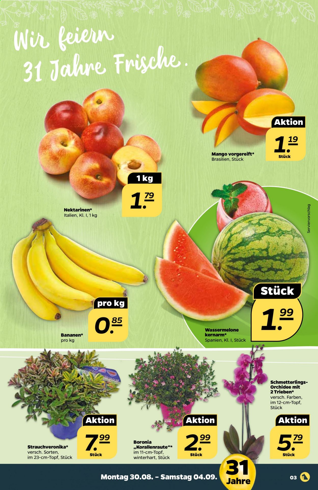 thumbnail - Prospekte Netto - 30.08.2021 - 4.09.2021 - Produkte in Aktion - Bananen, Mango, Nektarinen, Wassermelone, Melone, Orchidee. Seite 3.