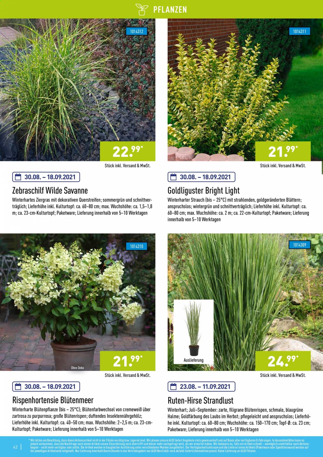 ALDI Nord Prospekte . Seite 42