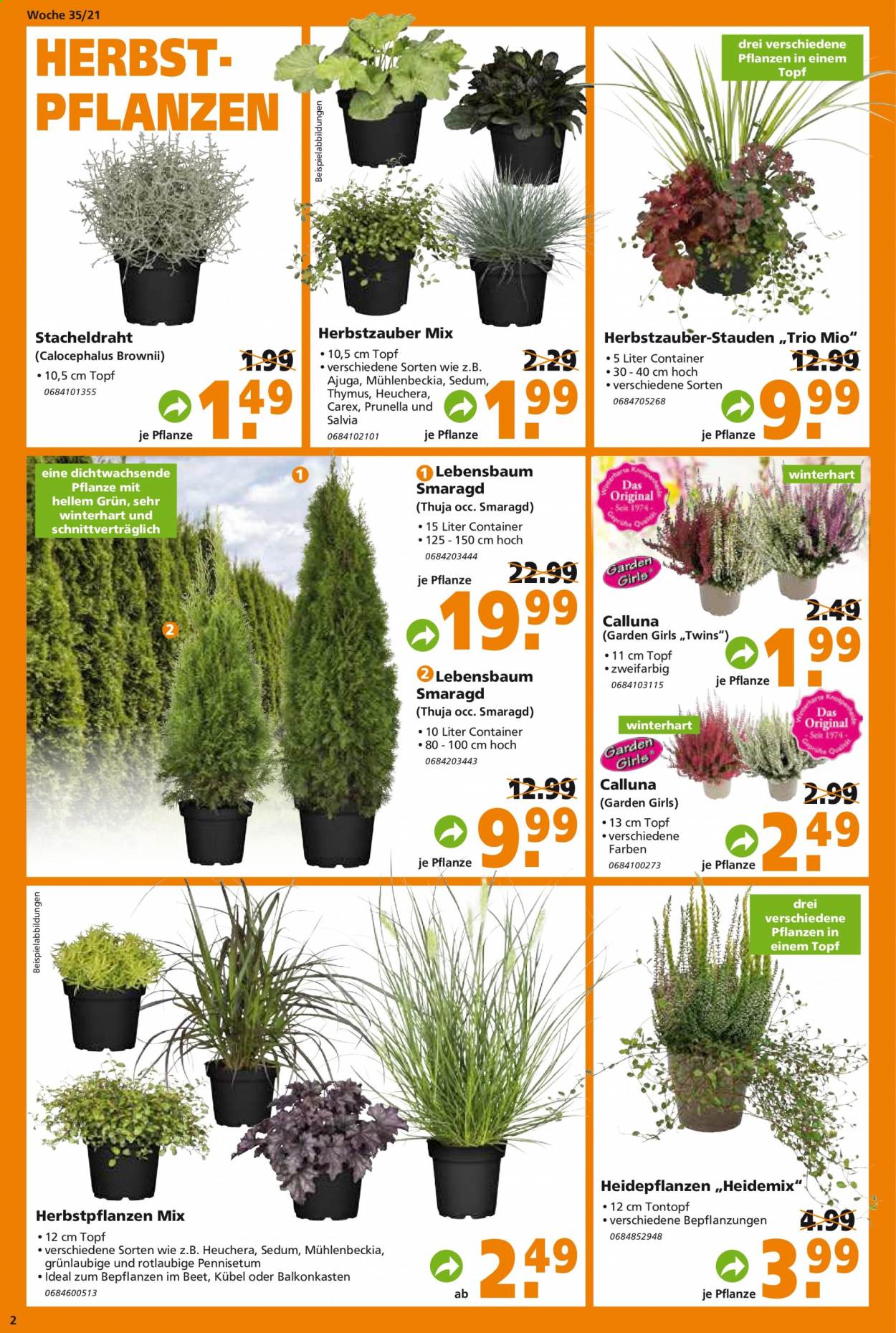 Globus Baumarkt Prospekte  - 30.08.2021 - 4.09.2021. Seite 2